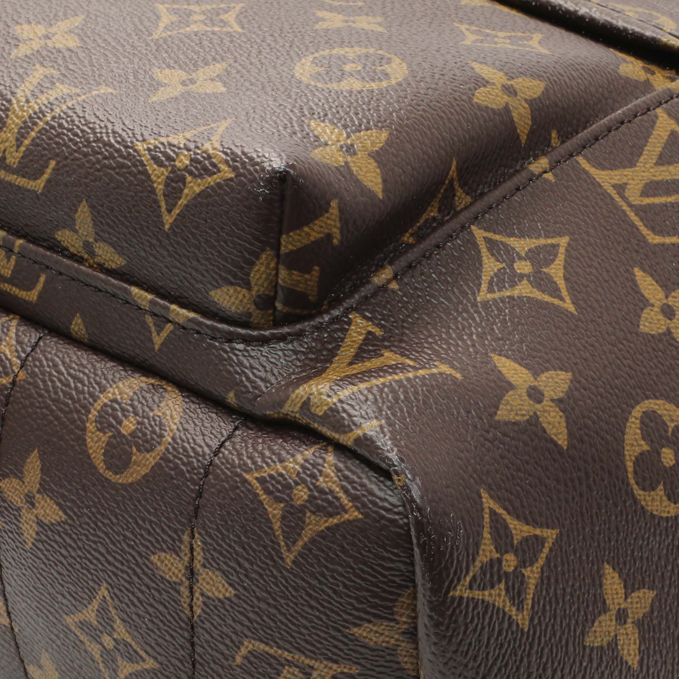 Louis Vuitton Monogram Palm Springs MM Backpack
