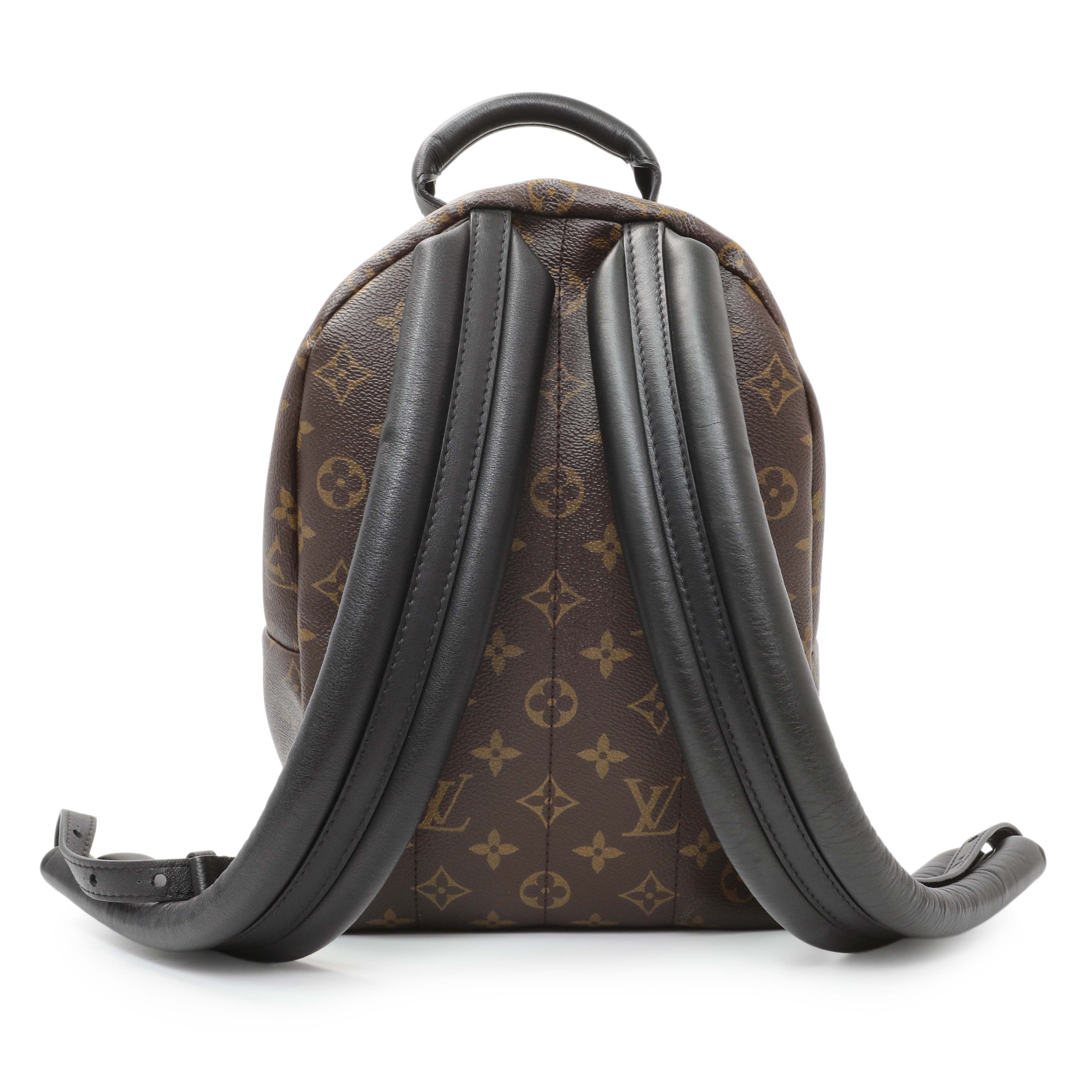 Louis Vuitton Monogram Palm Springs Backpack PM