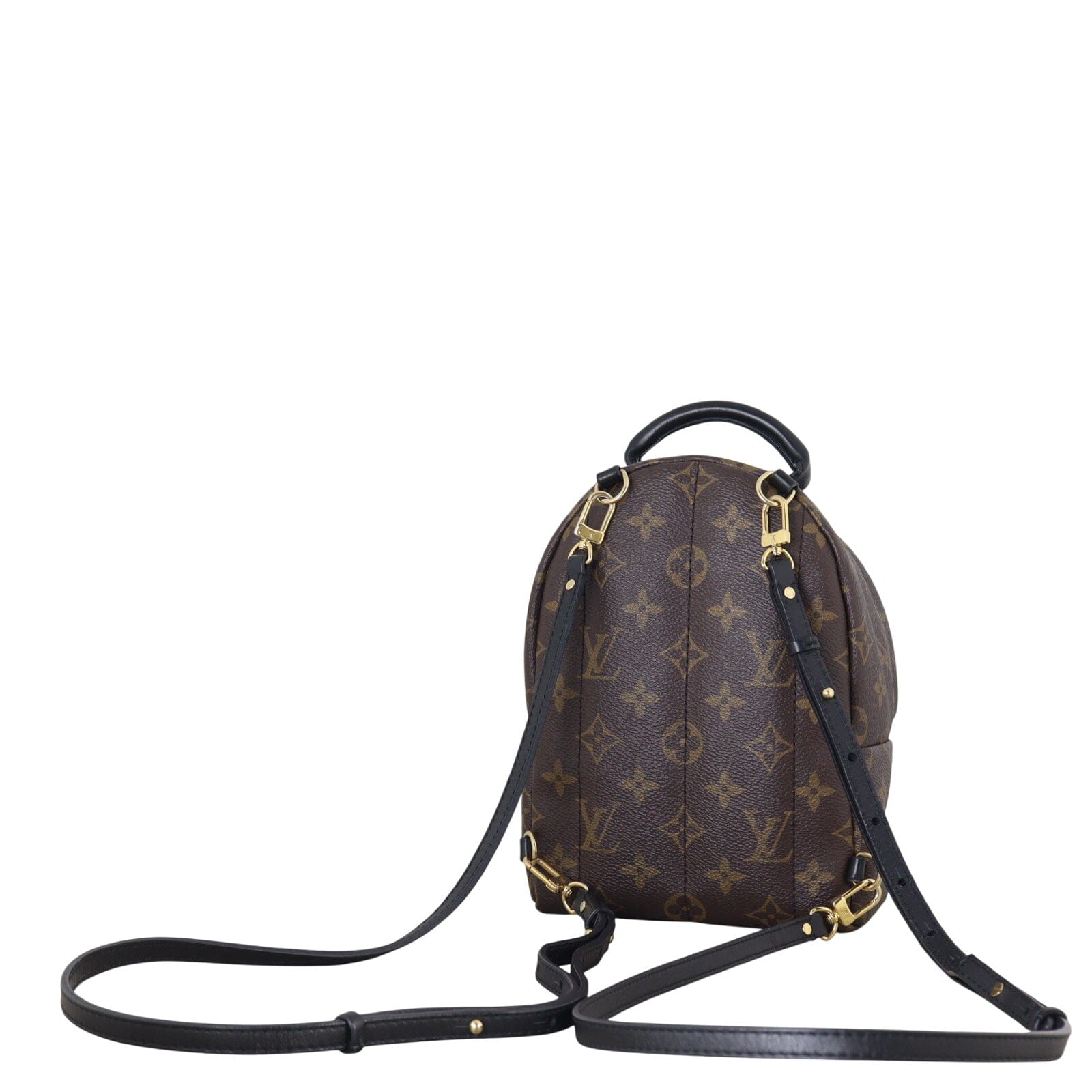 Louis Vuitton Palm Springs Mini Backpack Monogram