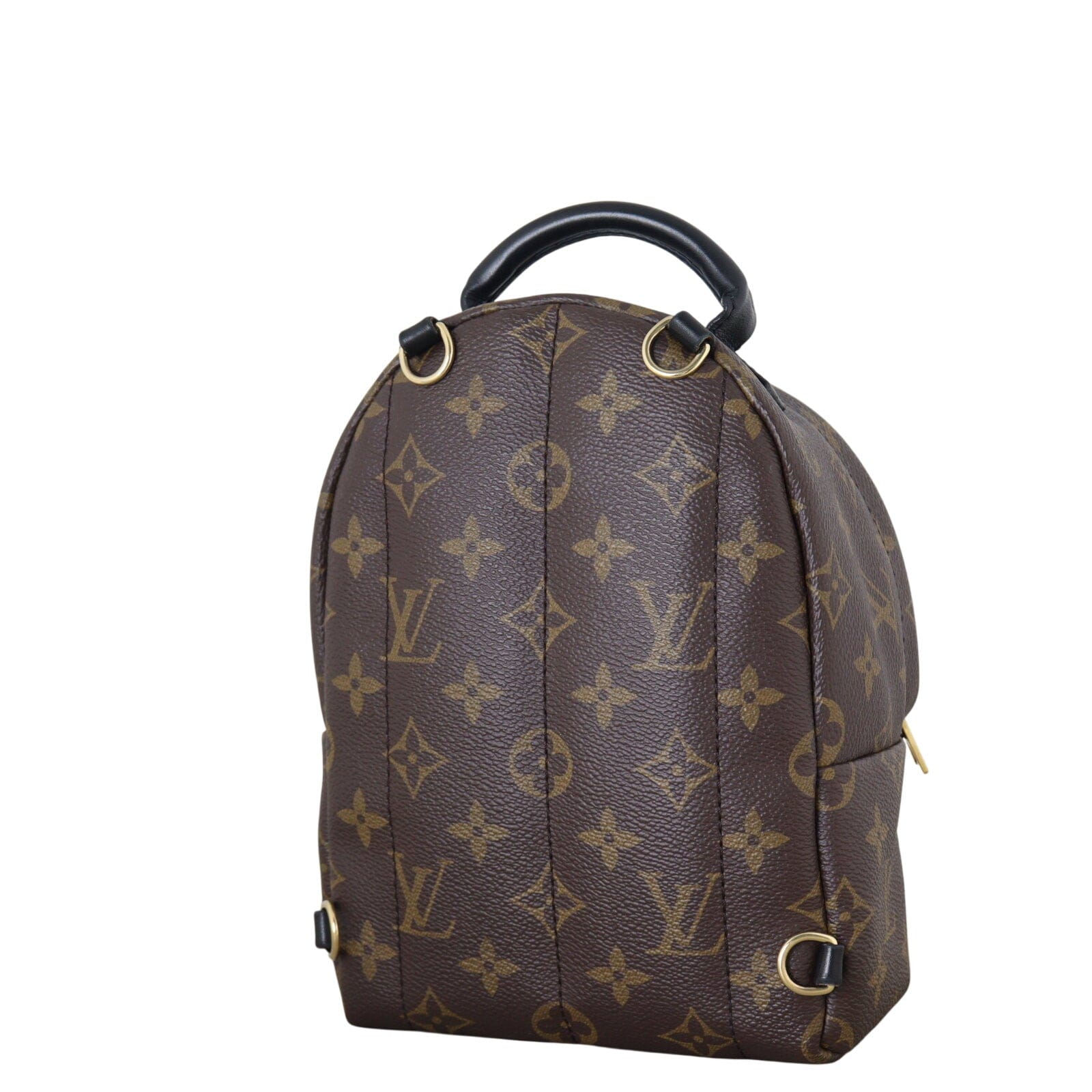 Louis Vuitton Palm Springs Mini Backpack Monogram