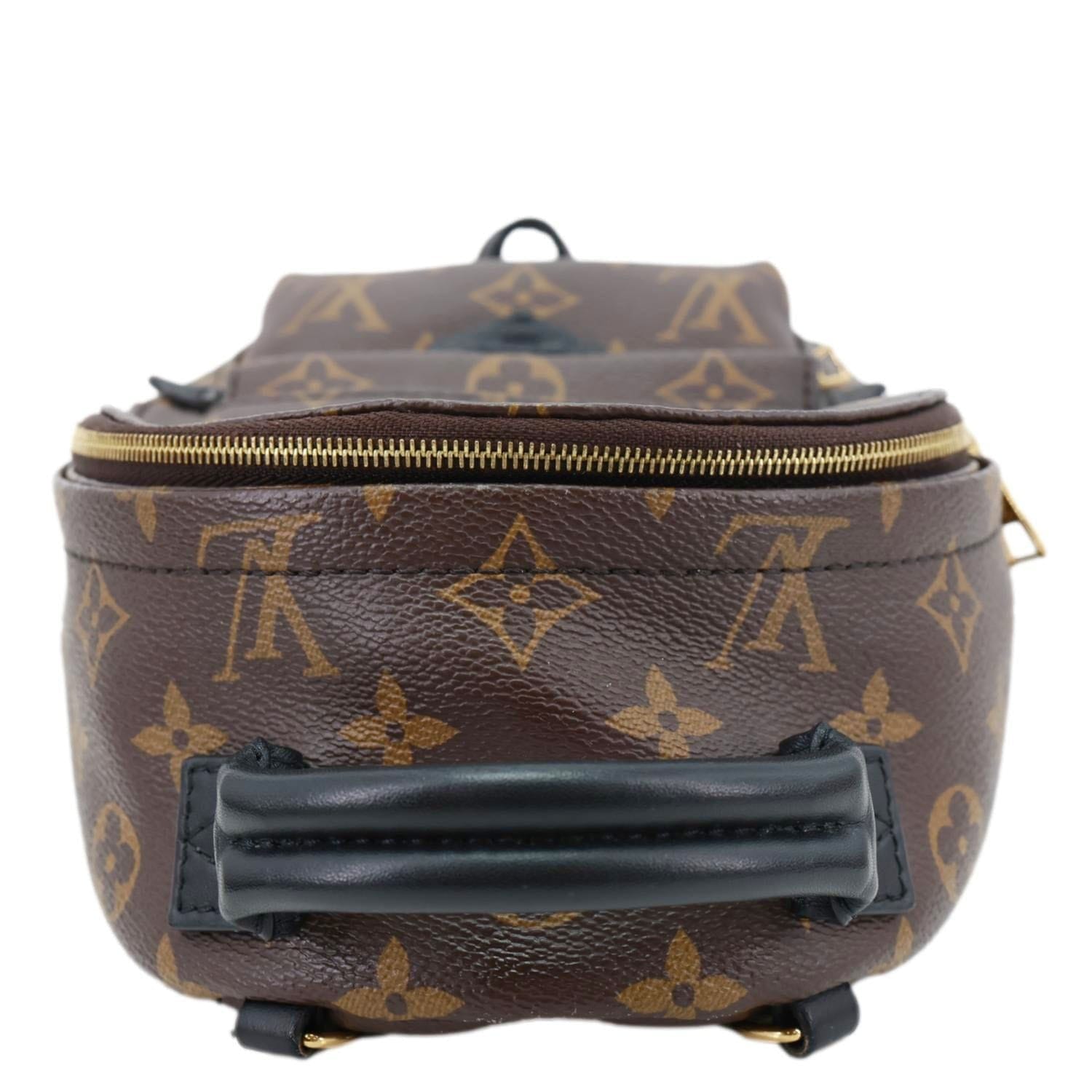 LOUIS VUITTON Palm Spring Mini Monogram Canvas Backpack Brown