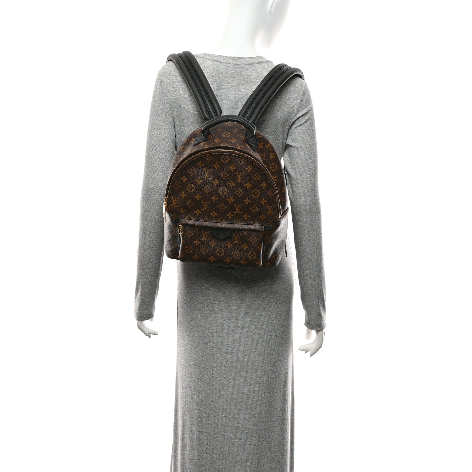 Louis Vuitton Monogram Palm Springs Backpack MM