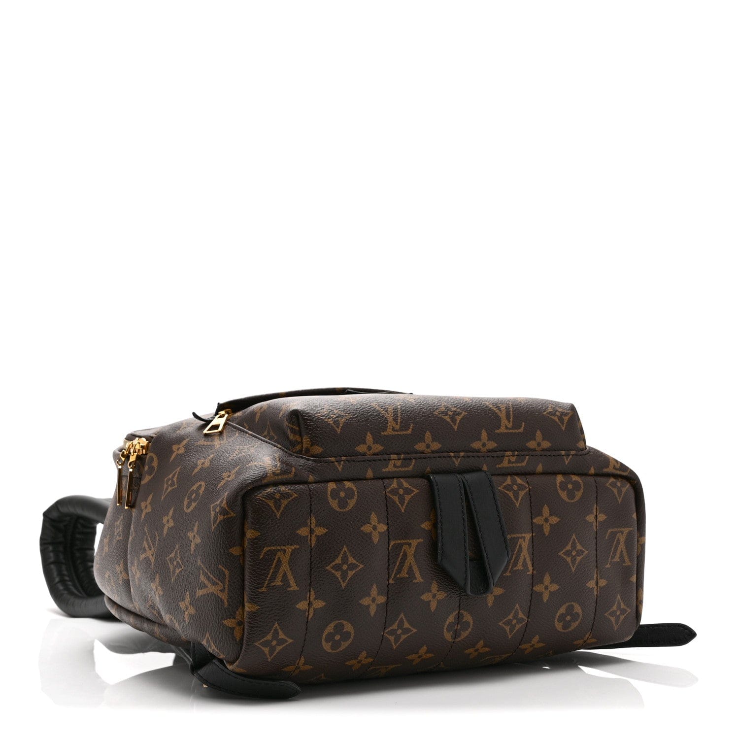 Louis Vuitton Monogram Palm Springs Backpack MM