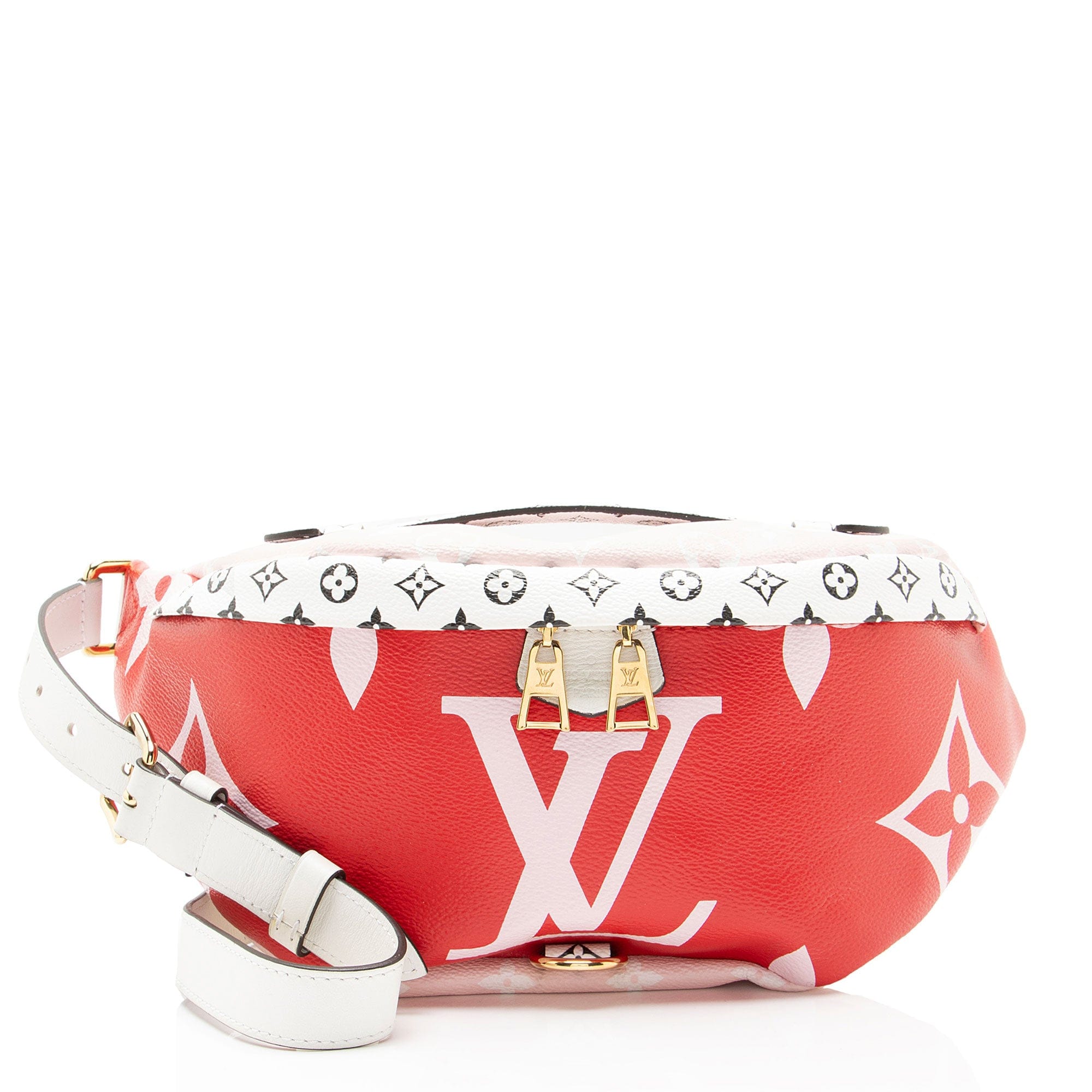 Louis Vuitton Giant Monogram Canvas Bumbag