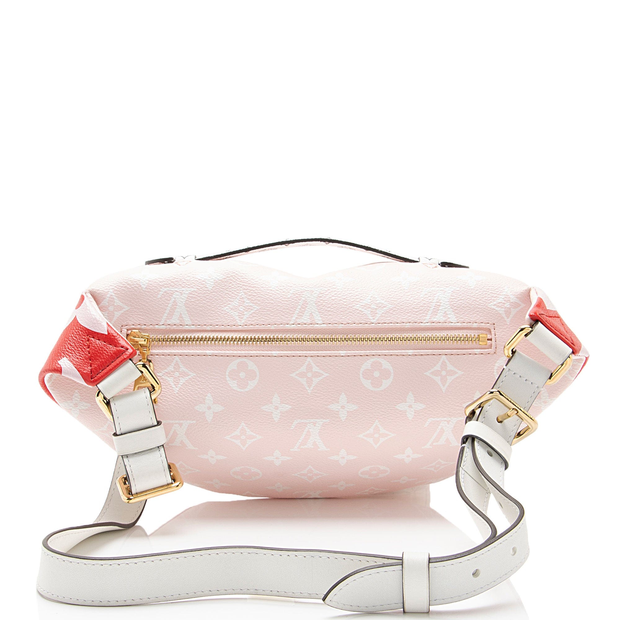 Louis Vuitton Giant Monogram Canvas Bumbag