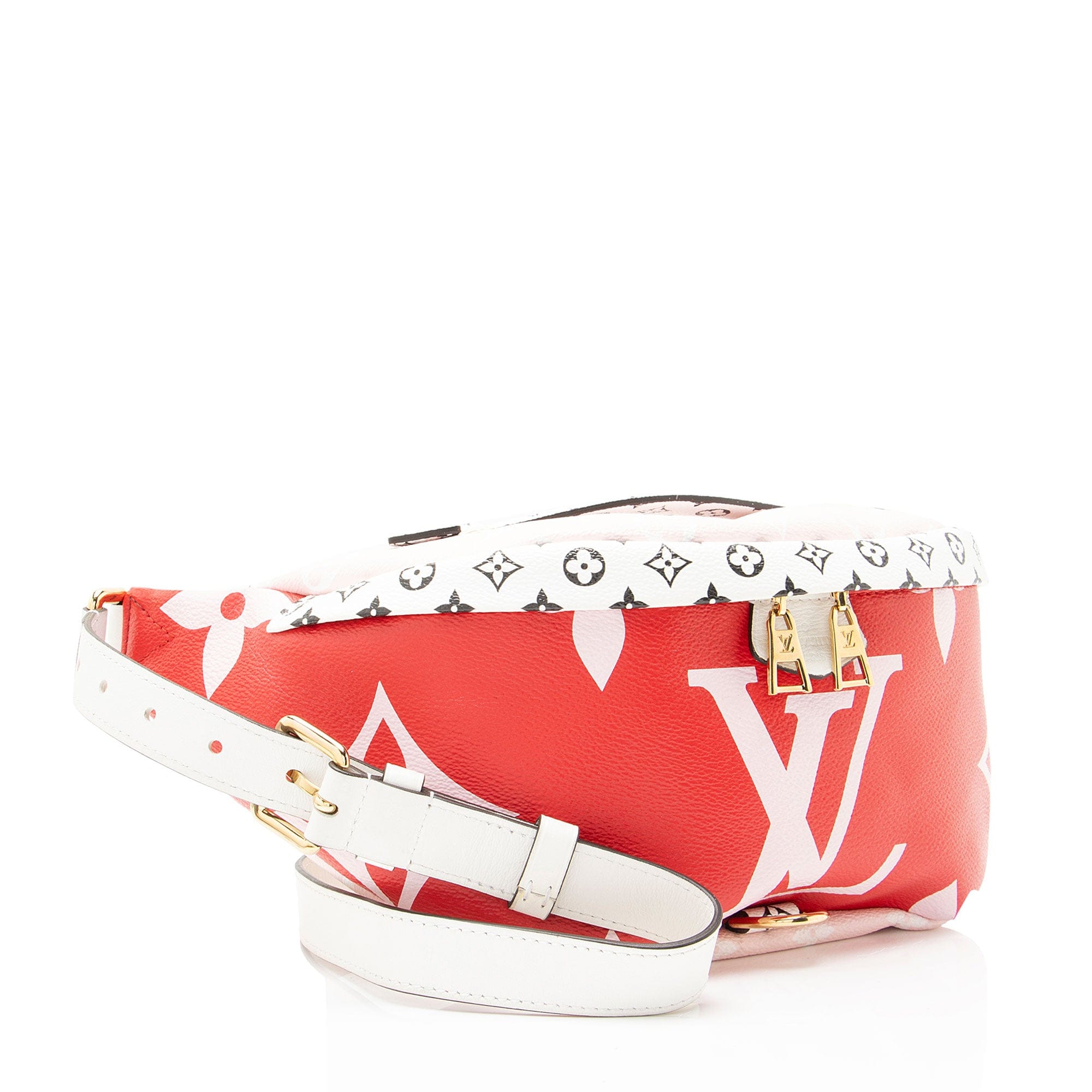Louis Vuitton Giant Monogram Canvas Bumbag
