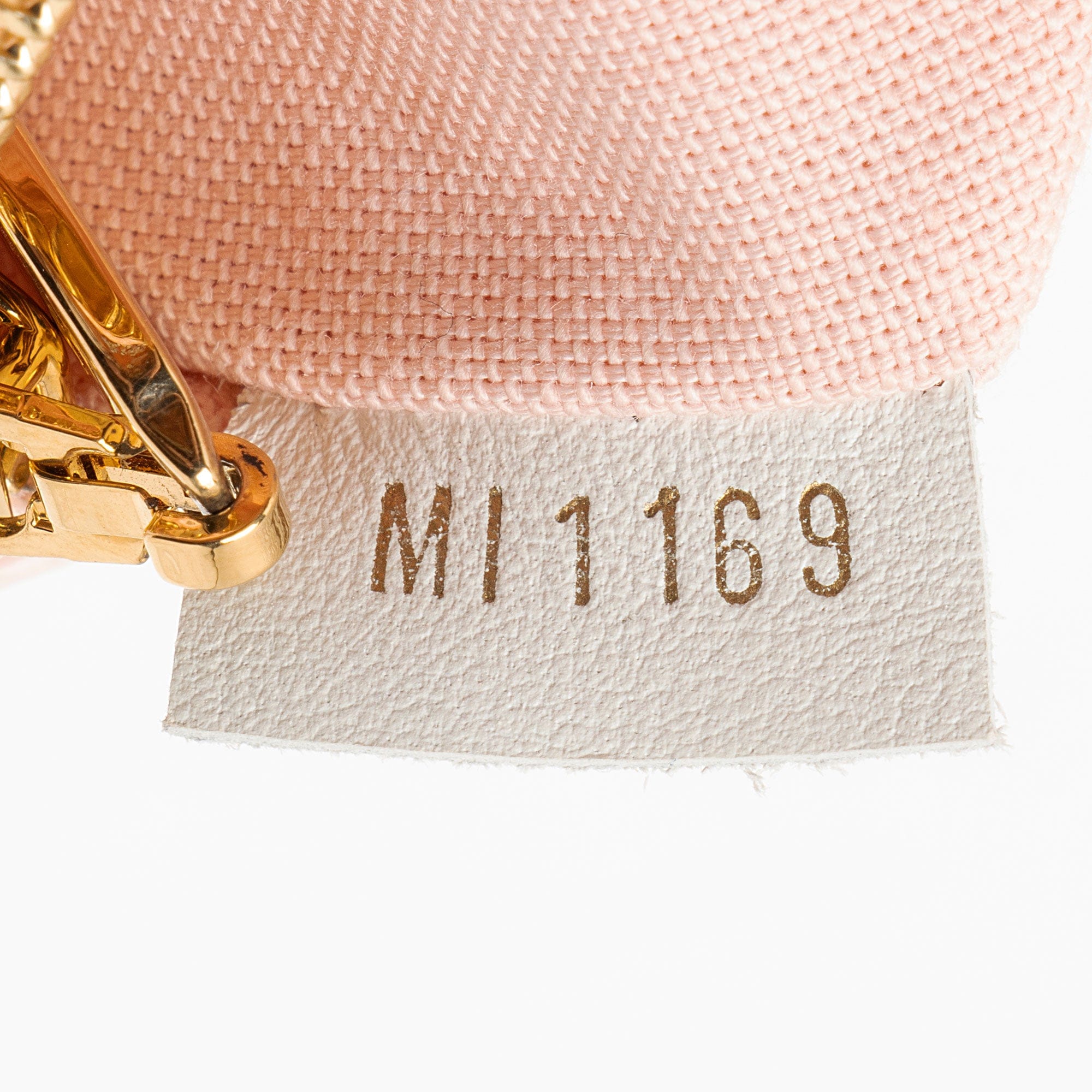 Louis Vuitton Giant Monogram Canvas Bumbag