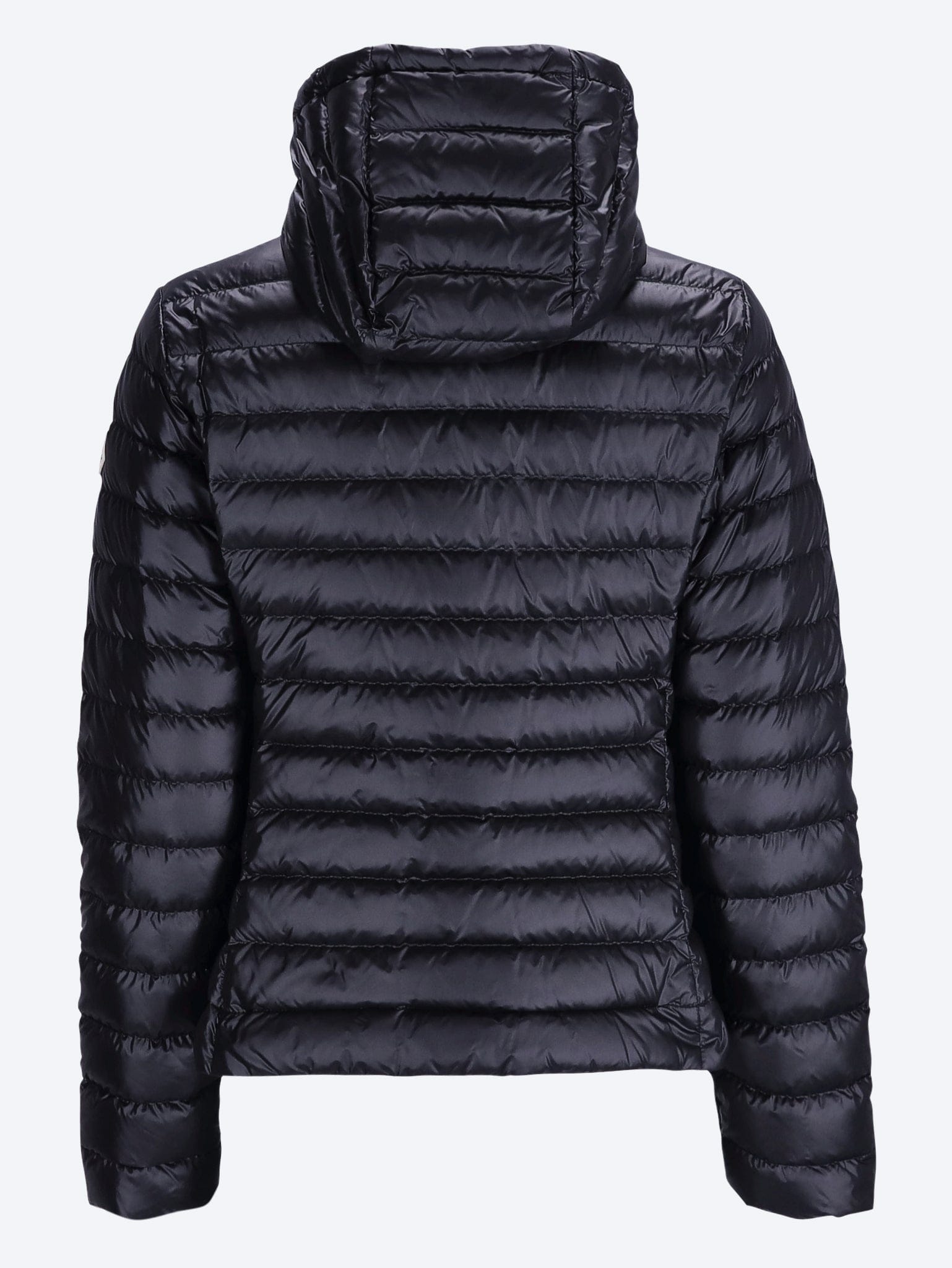 Moncler Igelhood jacket