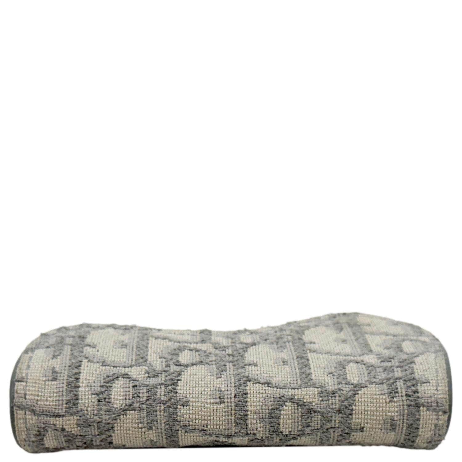 CHRISTIAN DIOR Saddle Oblique Canvas Card Holder Gray