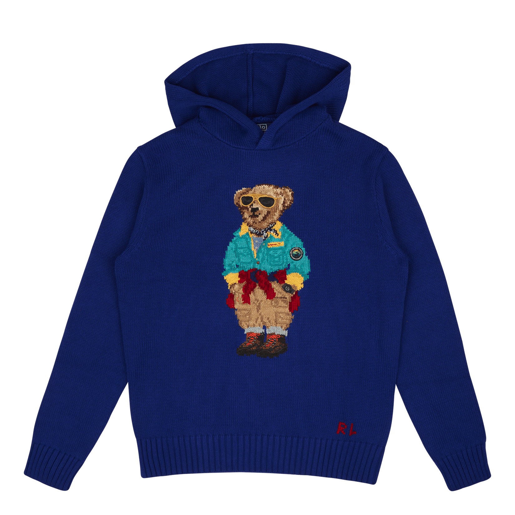 Polo Ralph Lauren Polo Bear Hooded Sweater