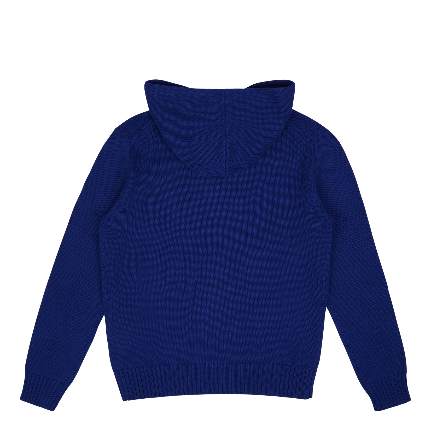 Polo Ralph Lauren Polo Bear Hooded Sweater