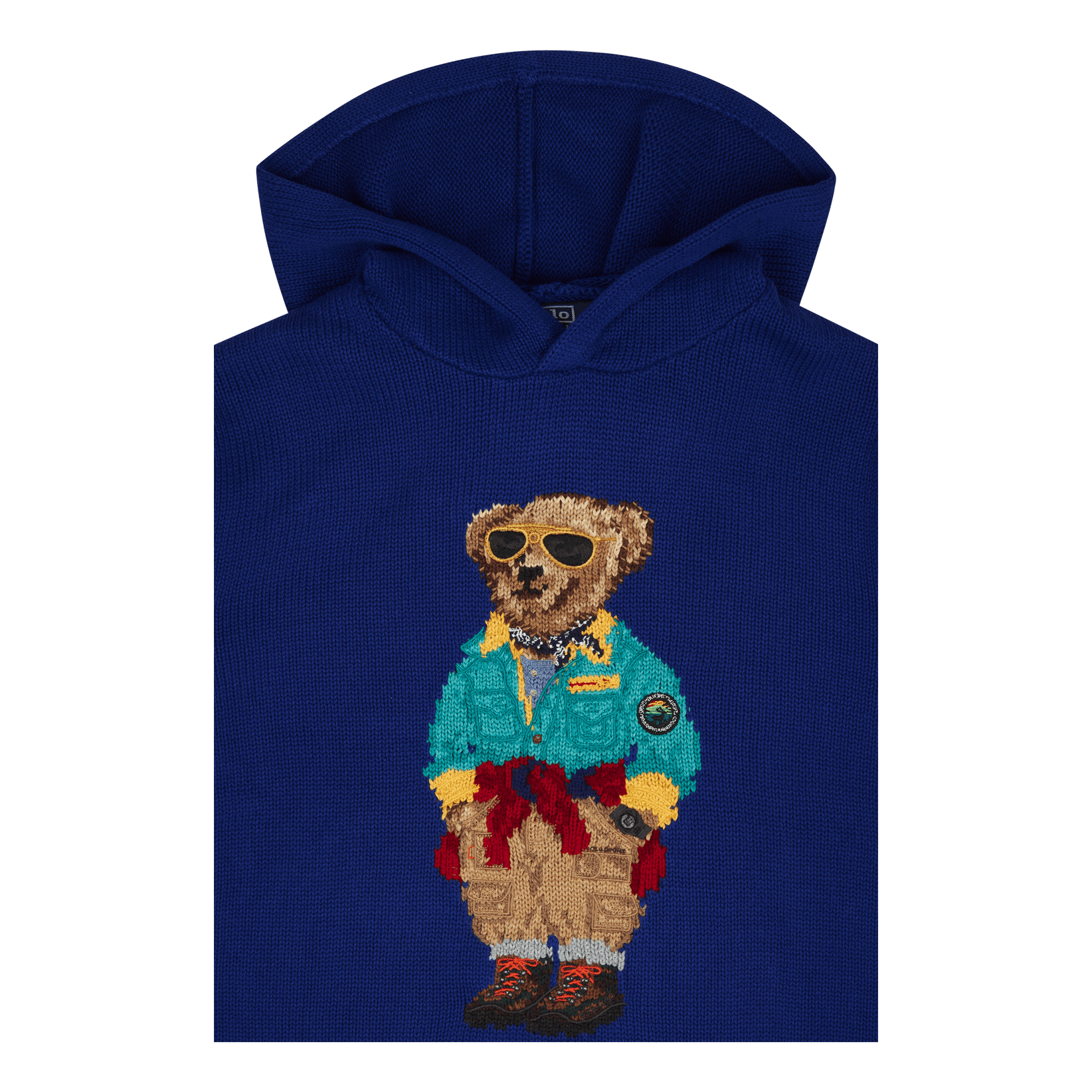 Polo Ralph Lauren Polo Bear Hooded Sweater