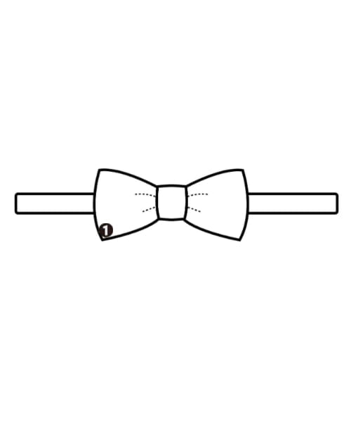 Polo Ralph Lauren Ties