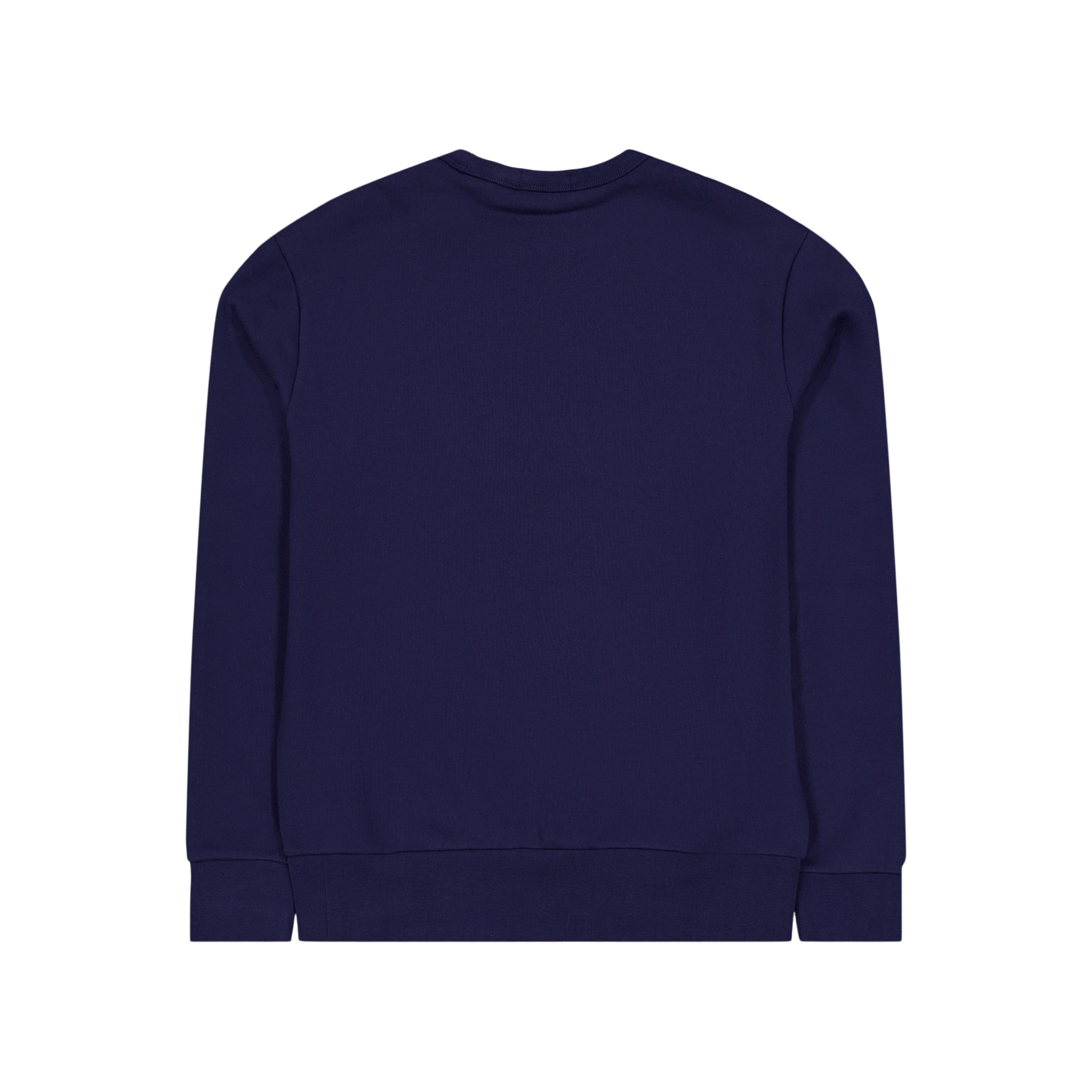 Polo Ralph Lauren Rl Fleece - lsl - sws Cruise