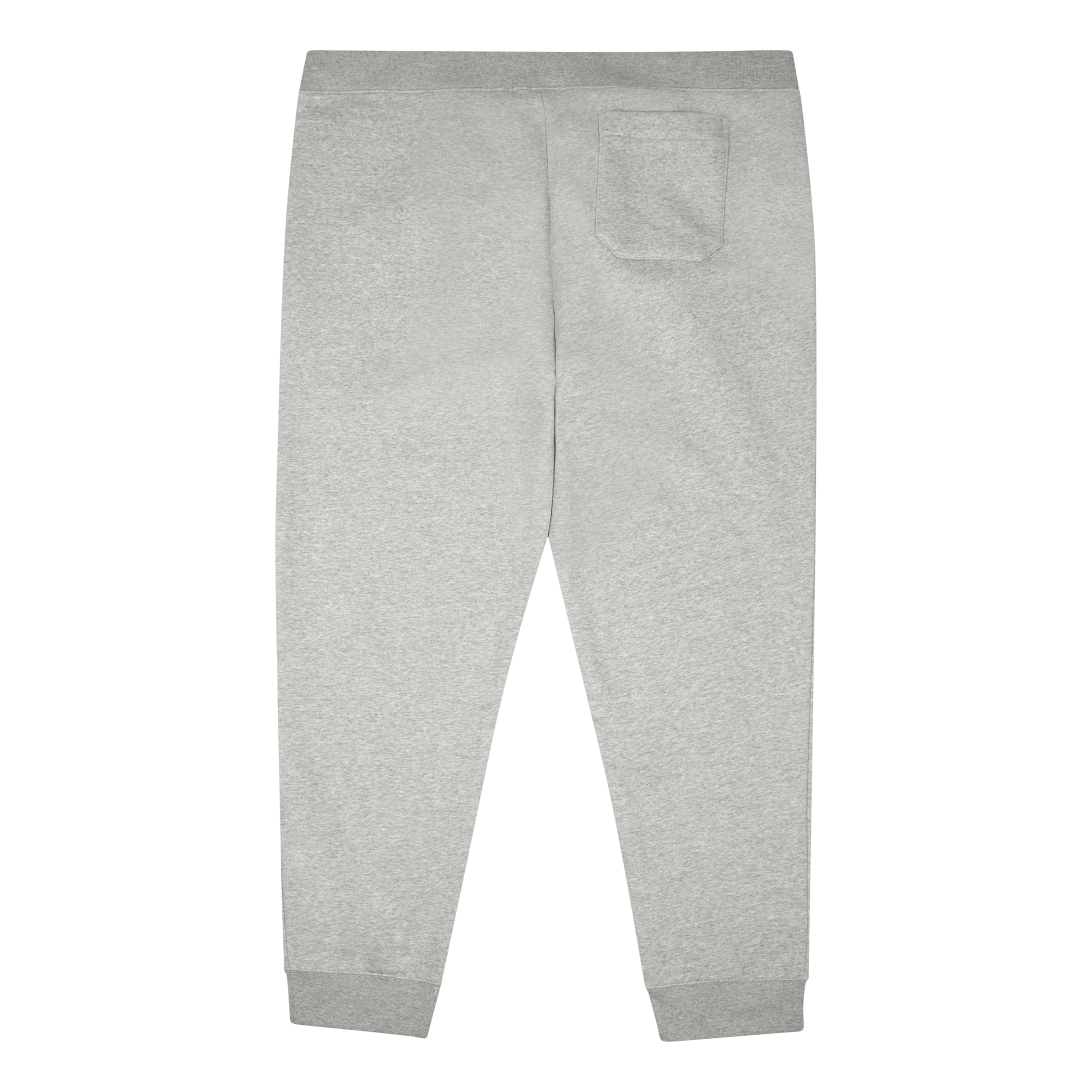 Polo Ralph Lauren Polo Sport Fleece Jogger Pant Andover Heather / Red