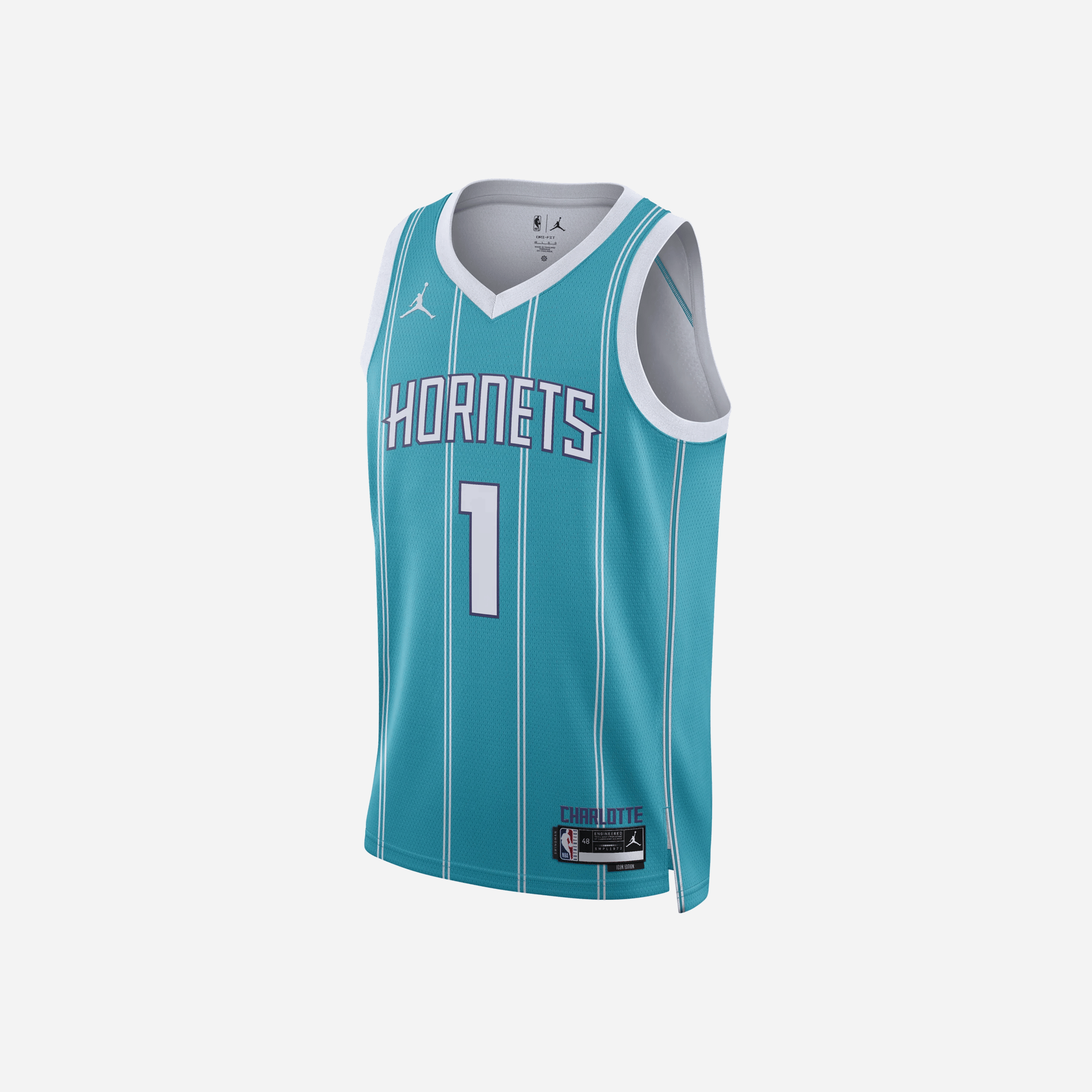 Nike Charlotte Hornets Icon Edition Men's Jordan Dri - FIT NBA Swingman Jersey