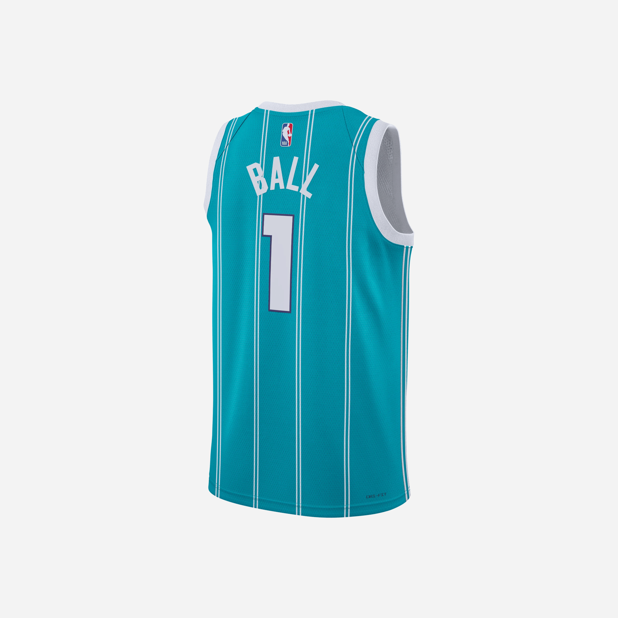 Nike Charlotte Hornets Icon Edition Men's Jordan Dri - FIT NBA Swingman Jersey