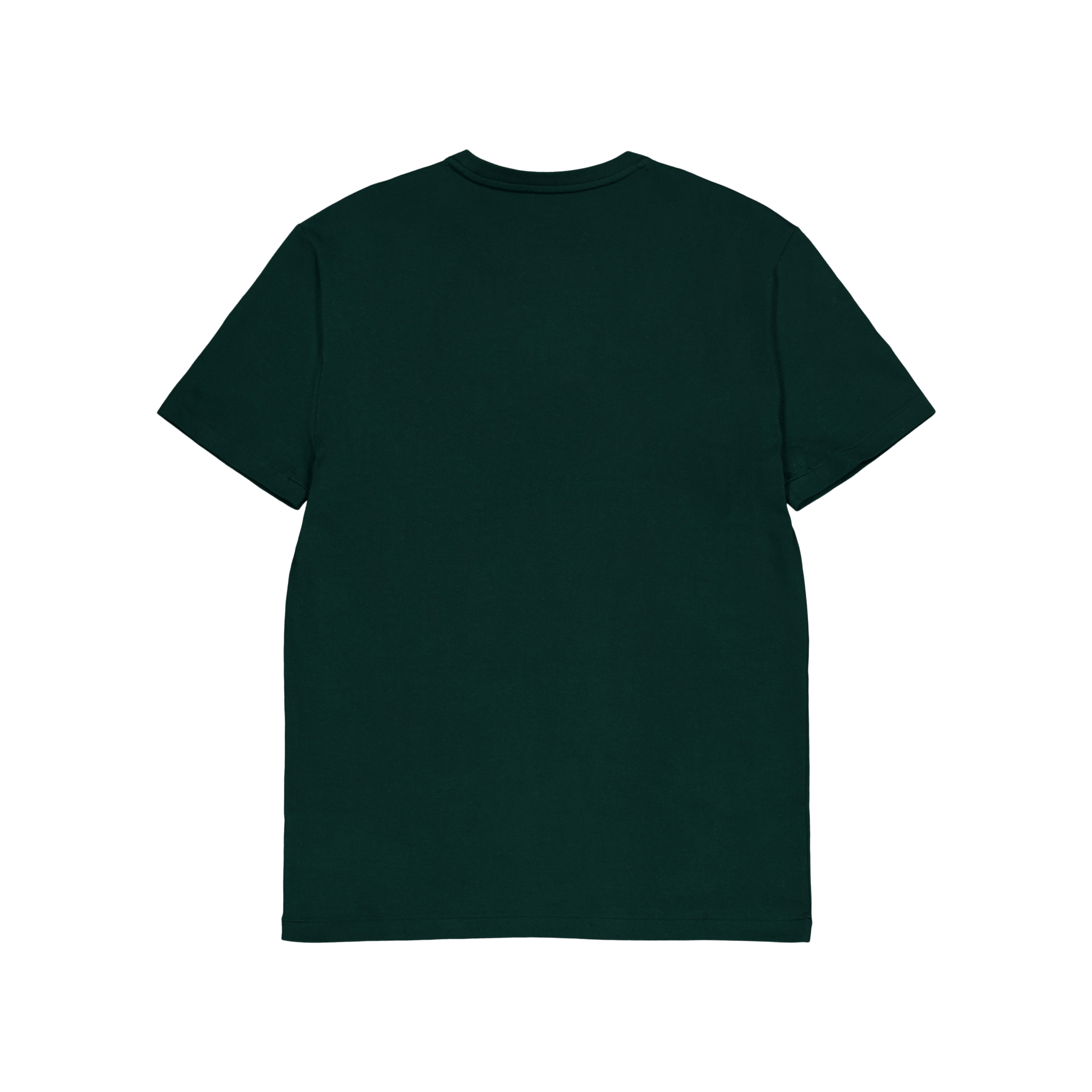 Polo Ralph Lauren Custom Slim Fit Jersey Crewneck T - Shirt Moss Agate/C1414