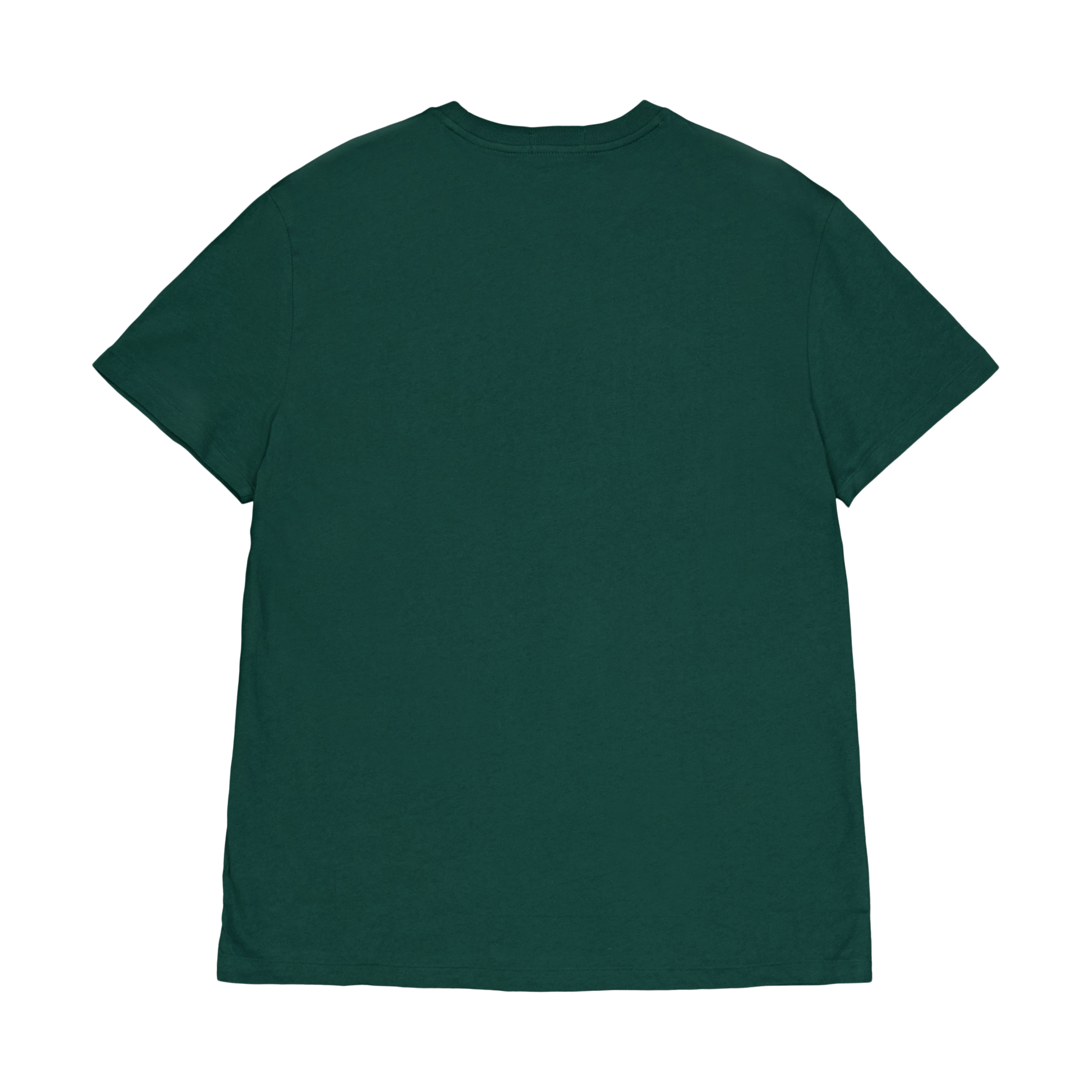 Polo Ralph Lauren Jersey Polo T - shirt 004 Moss Agate