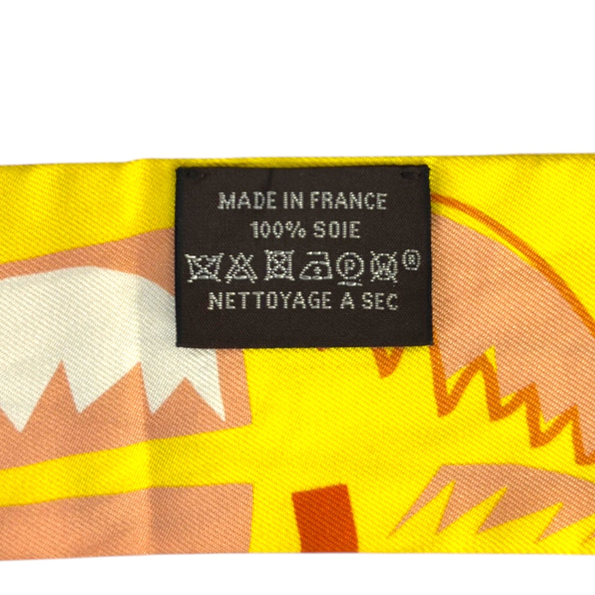 Hermes sea/surf/fun Silk Twilly