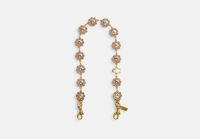 Coach Short Jewelry Chain Strap