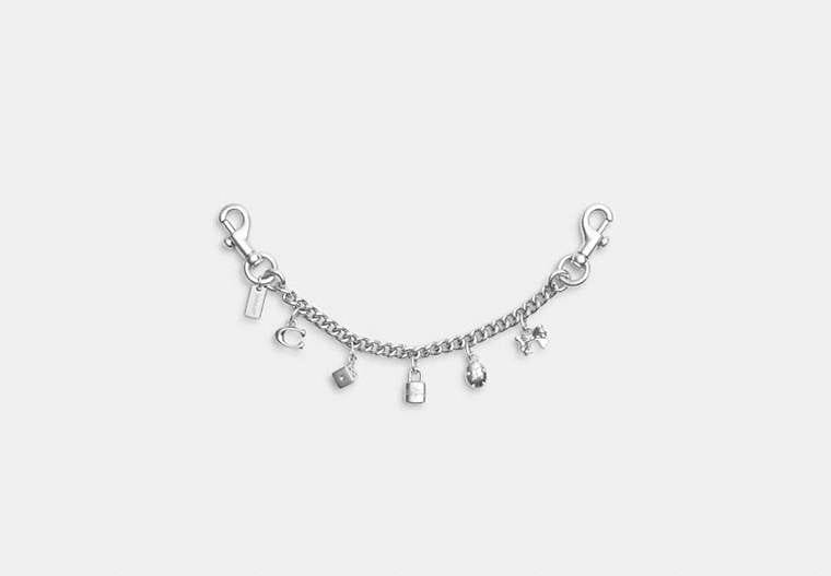 Coach Silver Swagger Chain With Charms