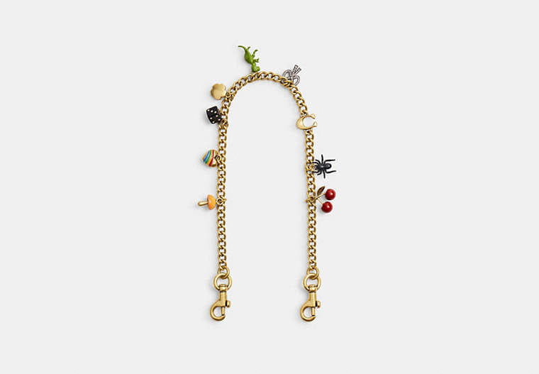 Coach Chain Strap With Charms