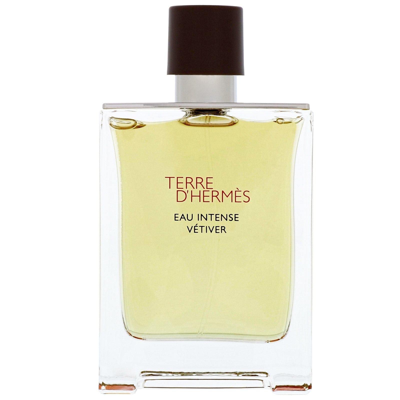 Hermès Terre d'Hermès Eau Intense Vetiver Eau de Parfum Spray 100 ml