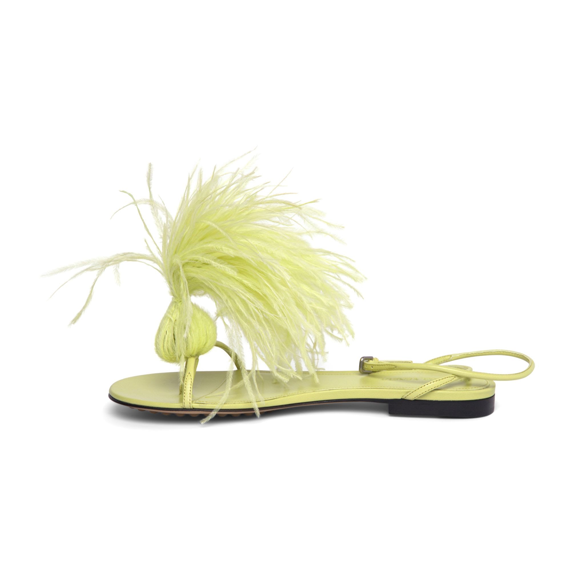 Bottega Veneta Feather - Embellished Sandals