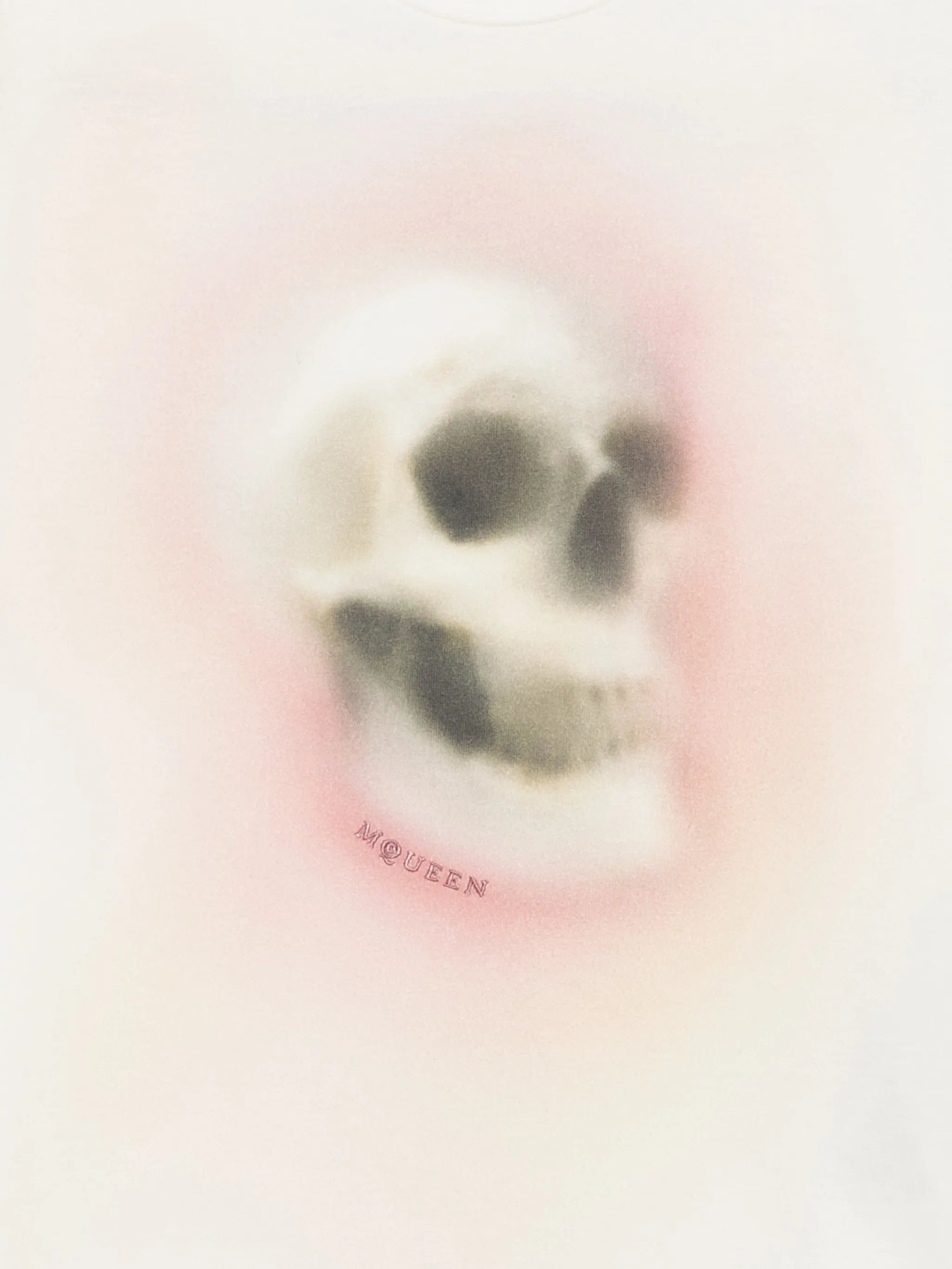 Alexander McQueen skull - print T - shirt