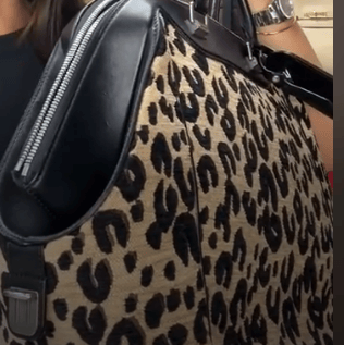 Louis Vuitton L26040883 LV North South Handba Leopard Print