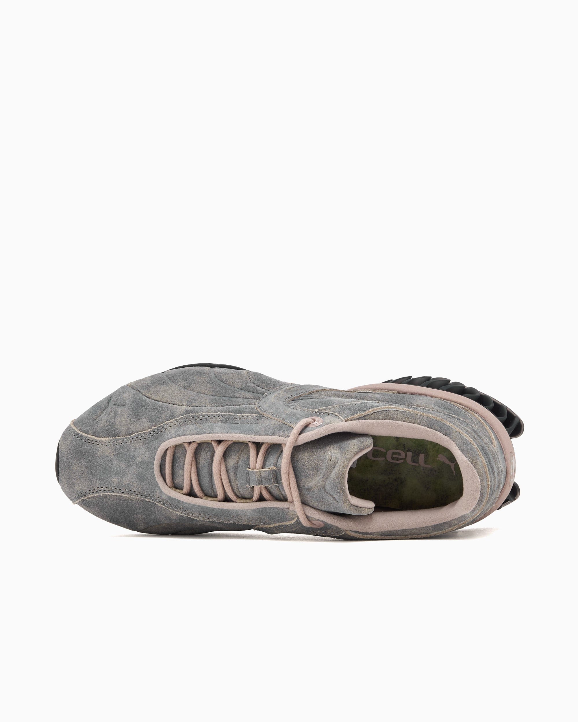 Puma Cell Geo 1 Biology