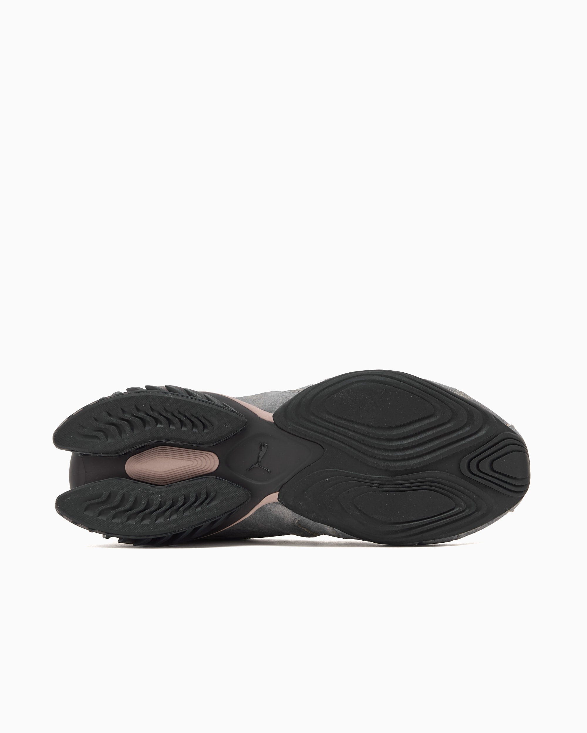 Puma Cell Geo 1 Biology