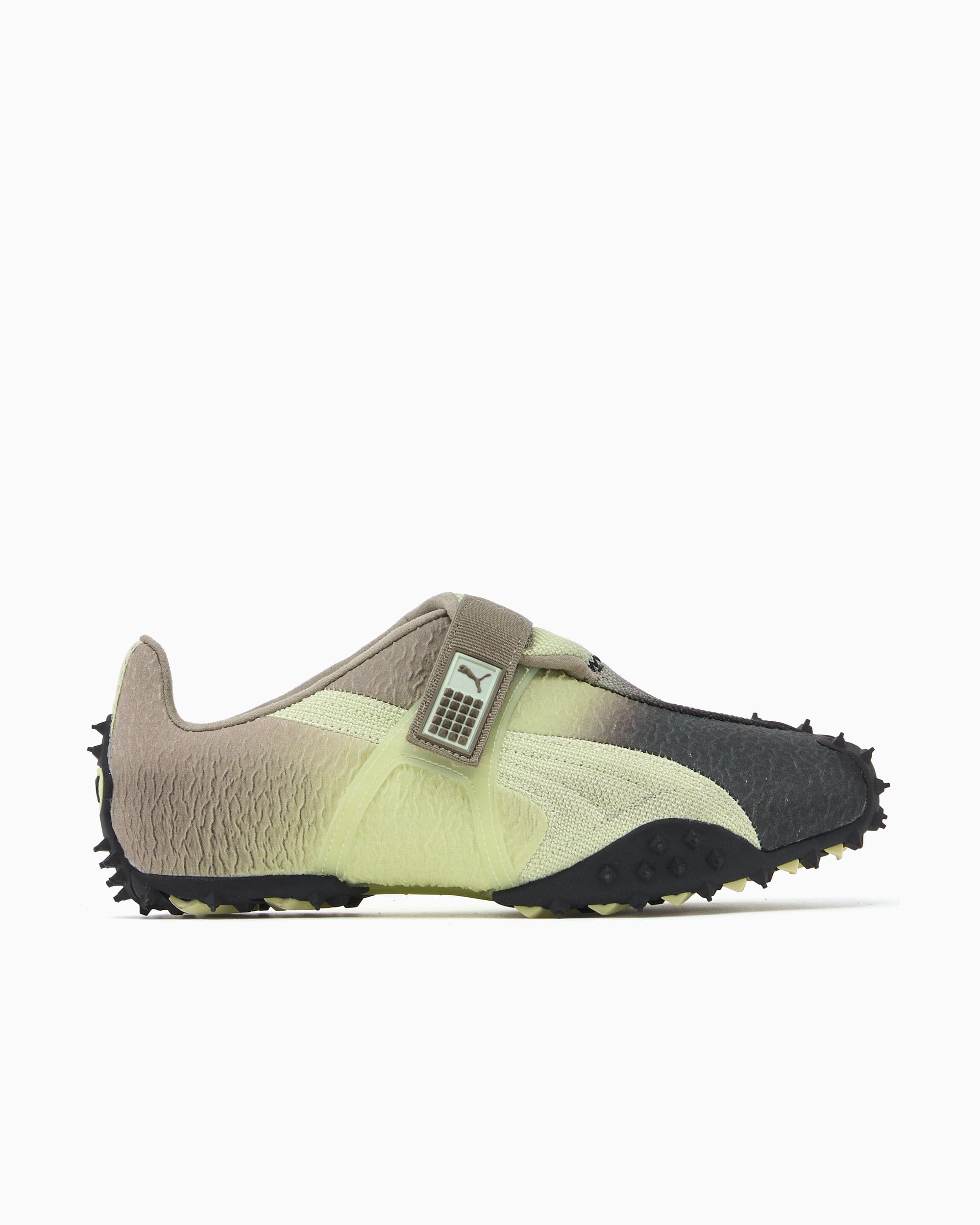 Puma RPT - 2 Biology Experiment Wabi - Sabi