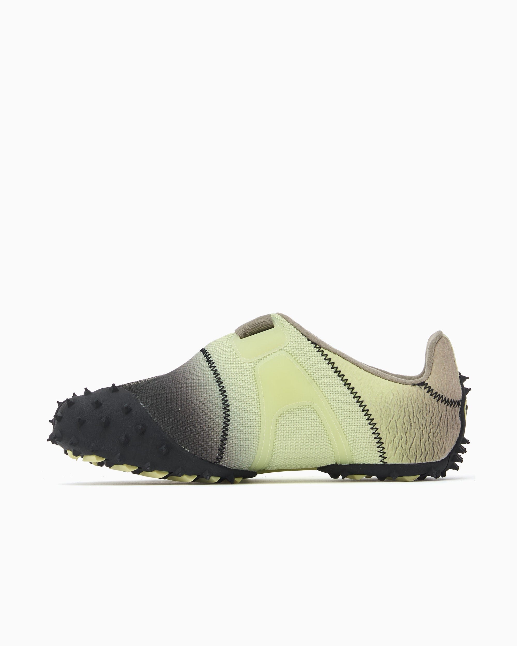 Puma RPT - 2 Biology Experiment Wabi - Sabi