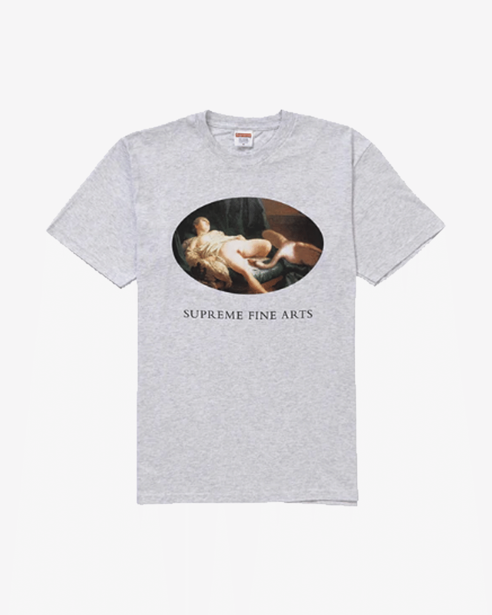 SUPREME SS19 LEDA AND SWAN T-Shirt ASH GREY -