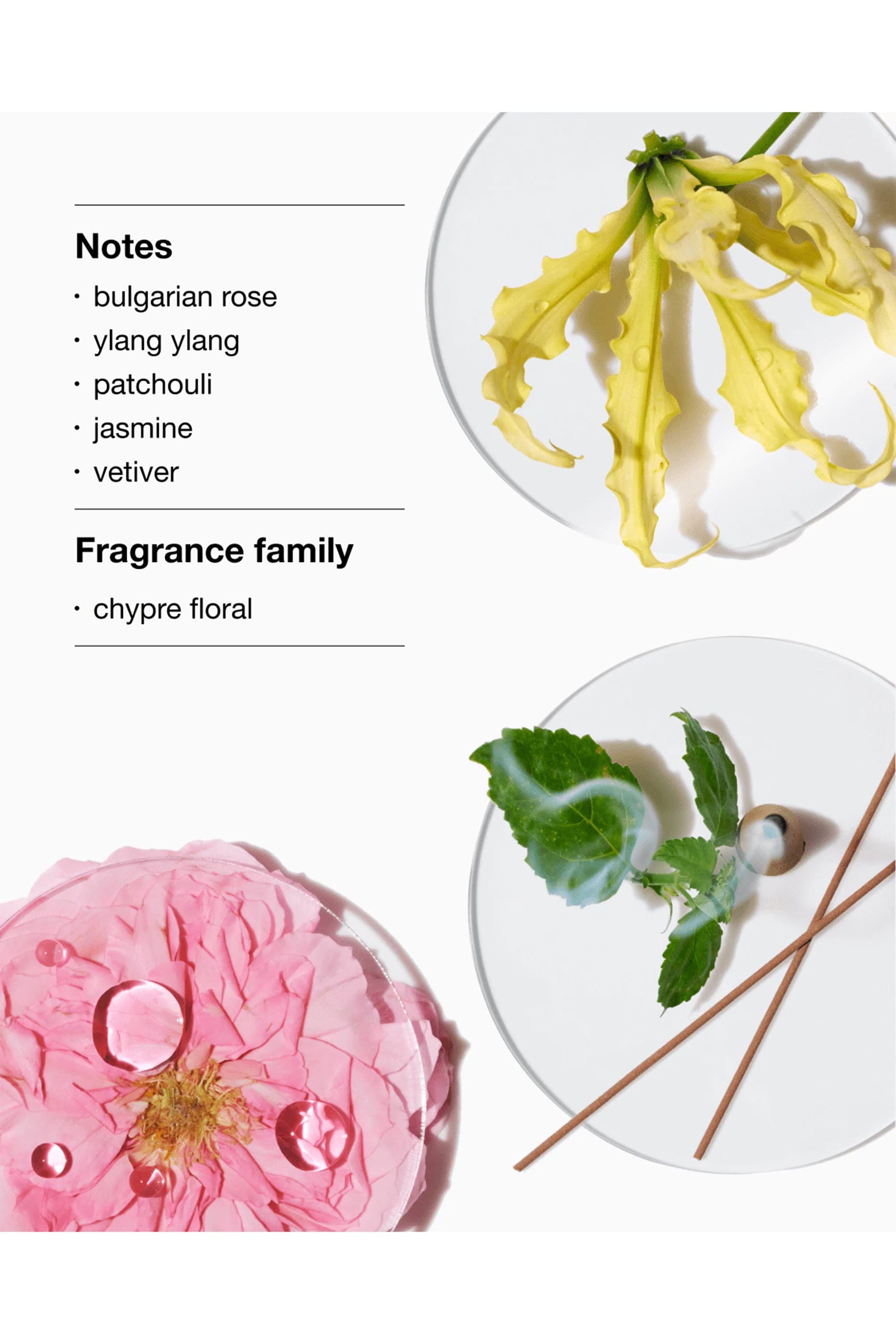 Clinique Aromatics Elixir Eau De Parfum