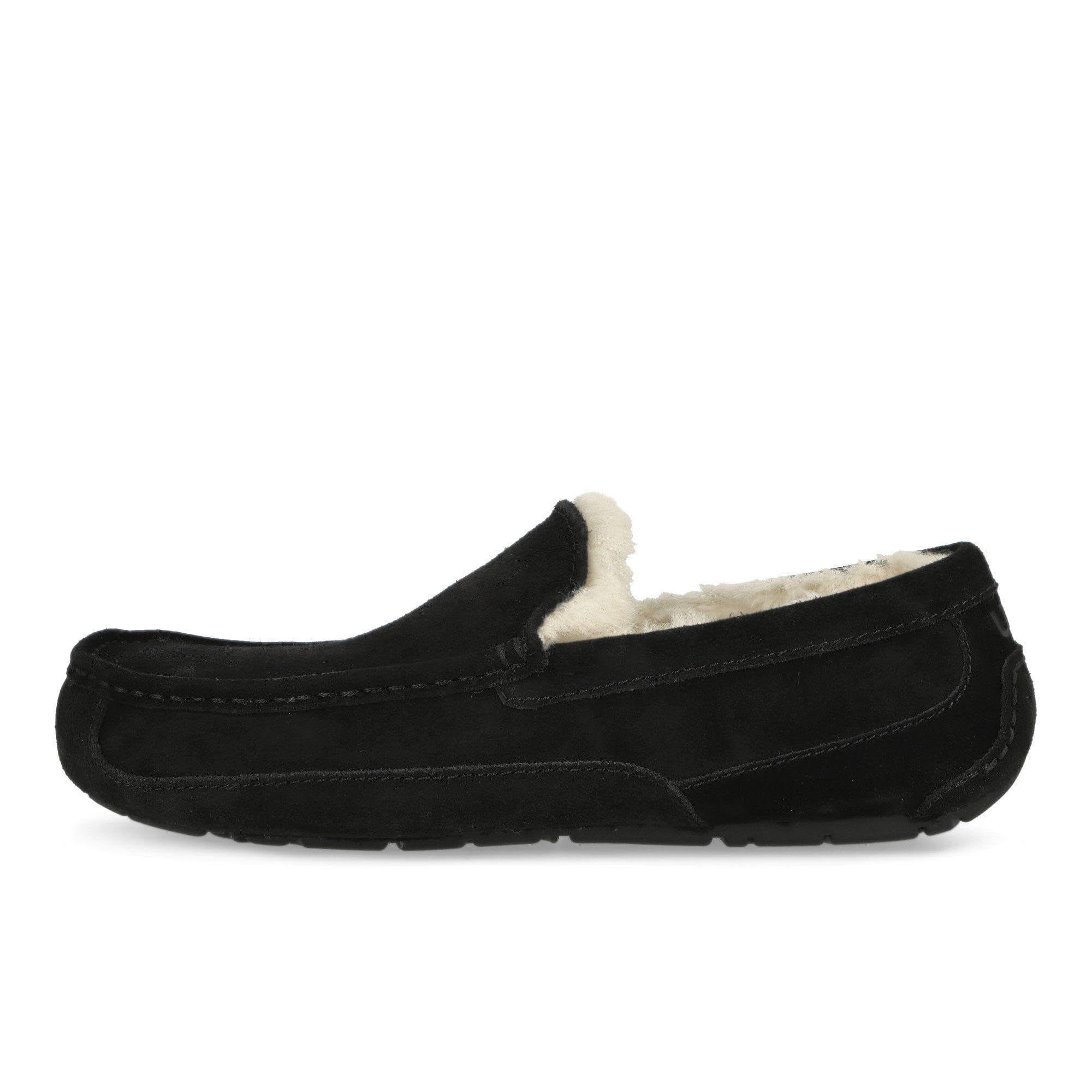 UGG M Ascot