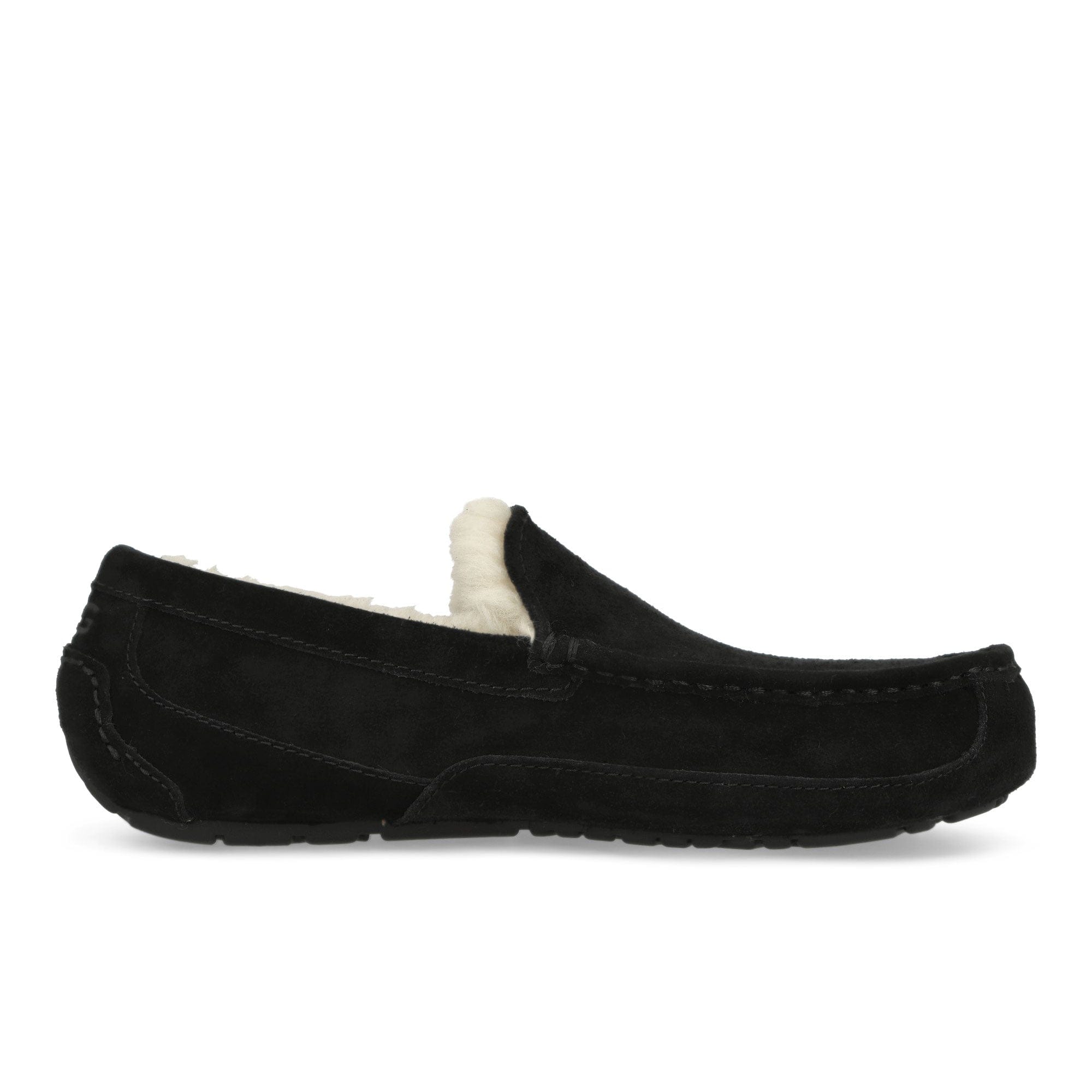 UGG M Ascot
