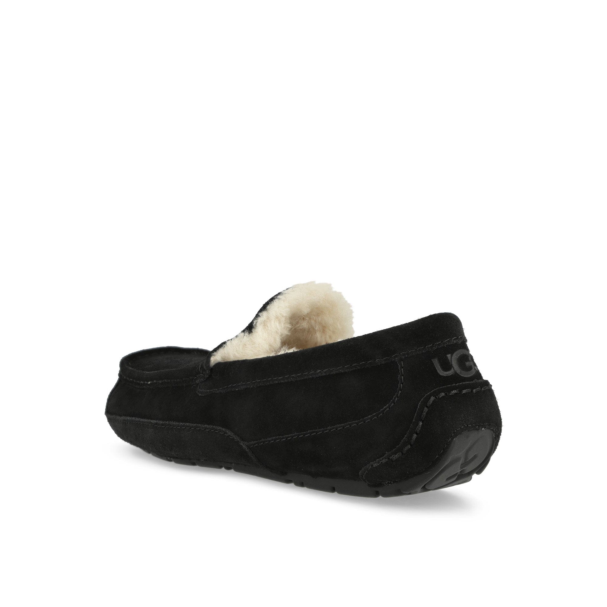 UGG M Ascot