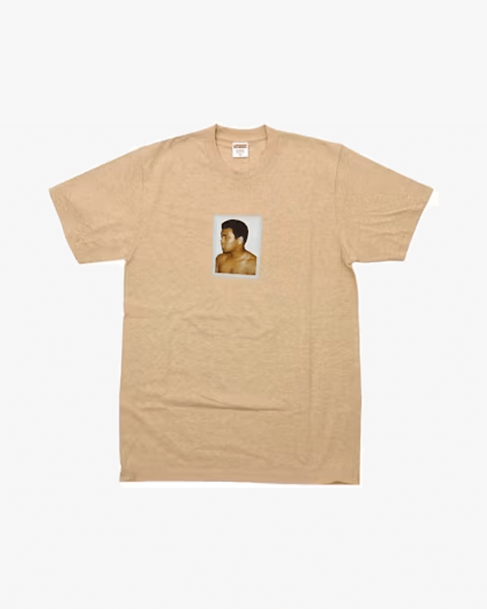 SUPREME SS16 ALIWARHOL T-Shirt HEATHER ORANGE