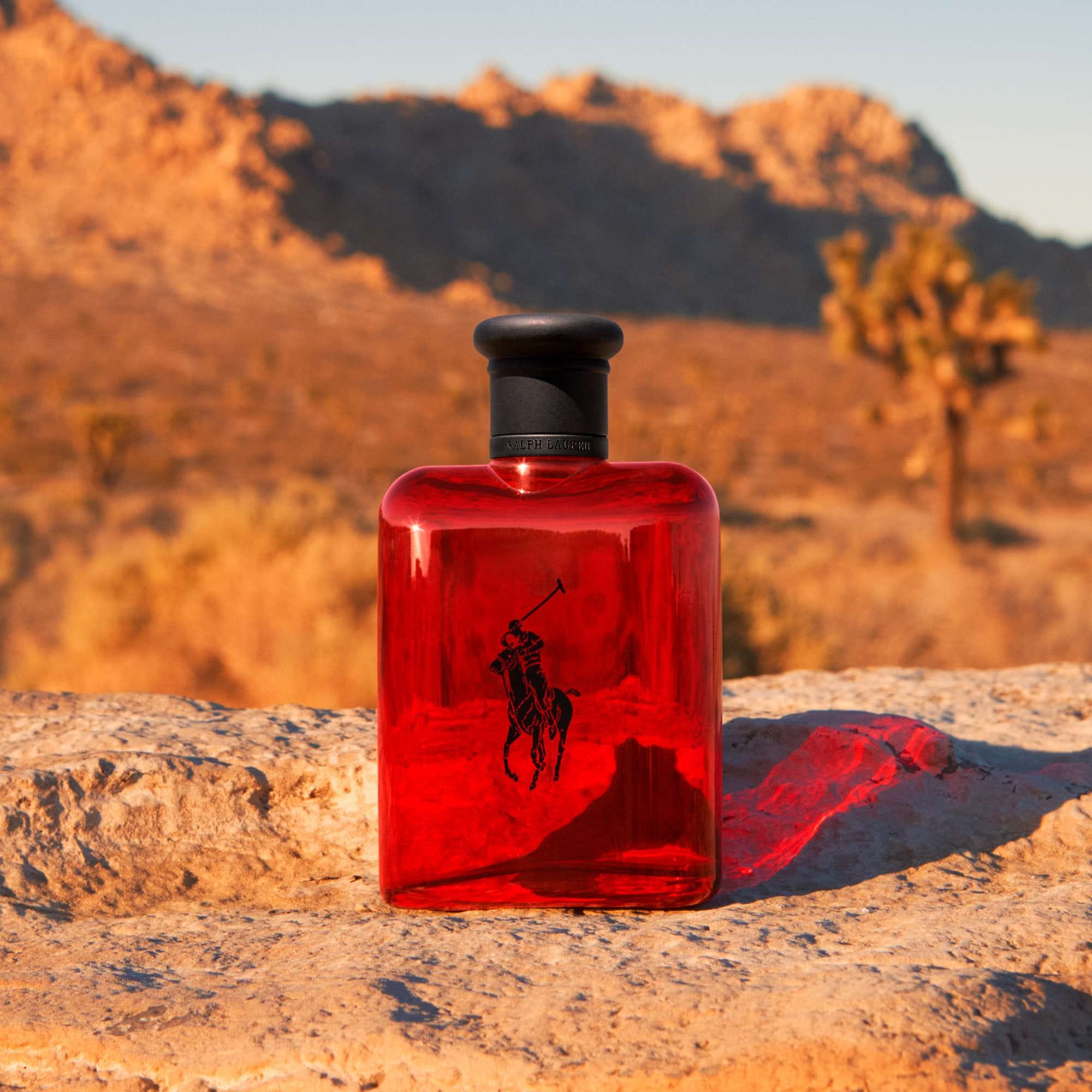 Ralph Lauren Polo Red Eau de Toilette Spray 75 ml
