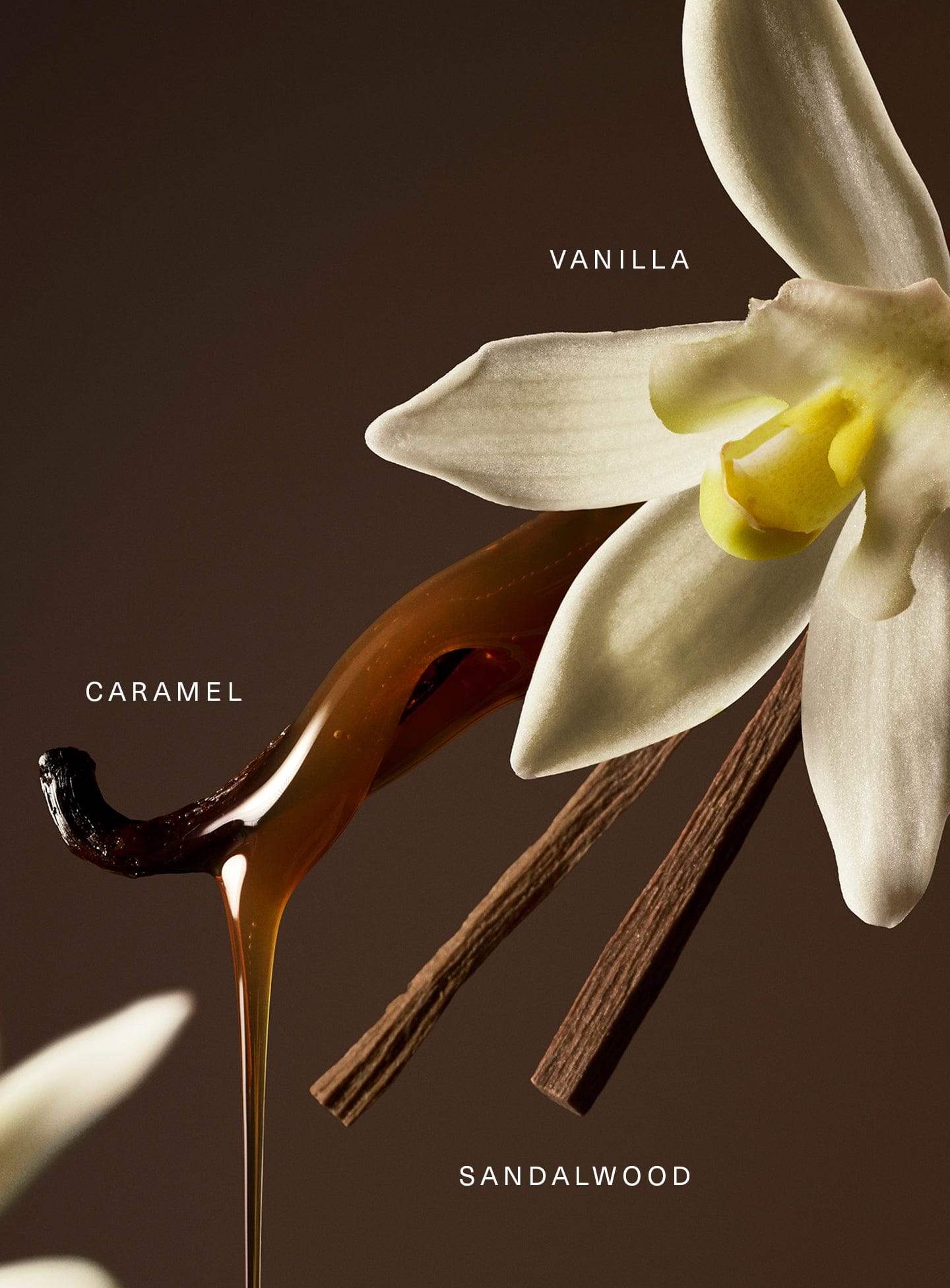 Rare Beauty Rare Eau de Parfum