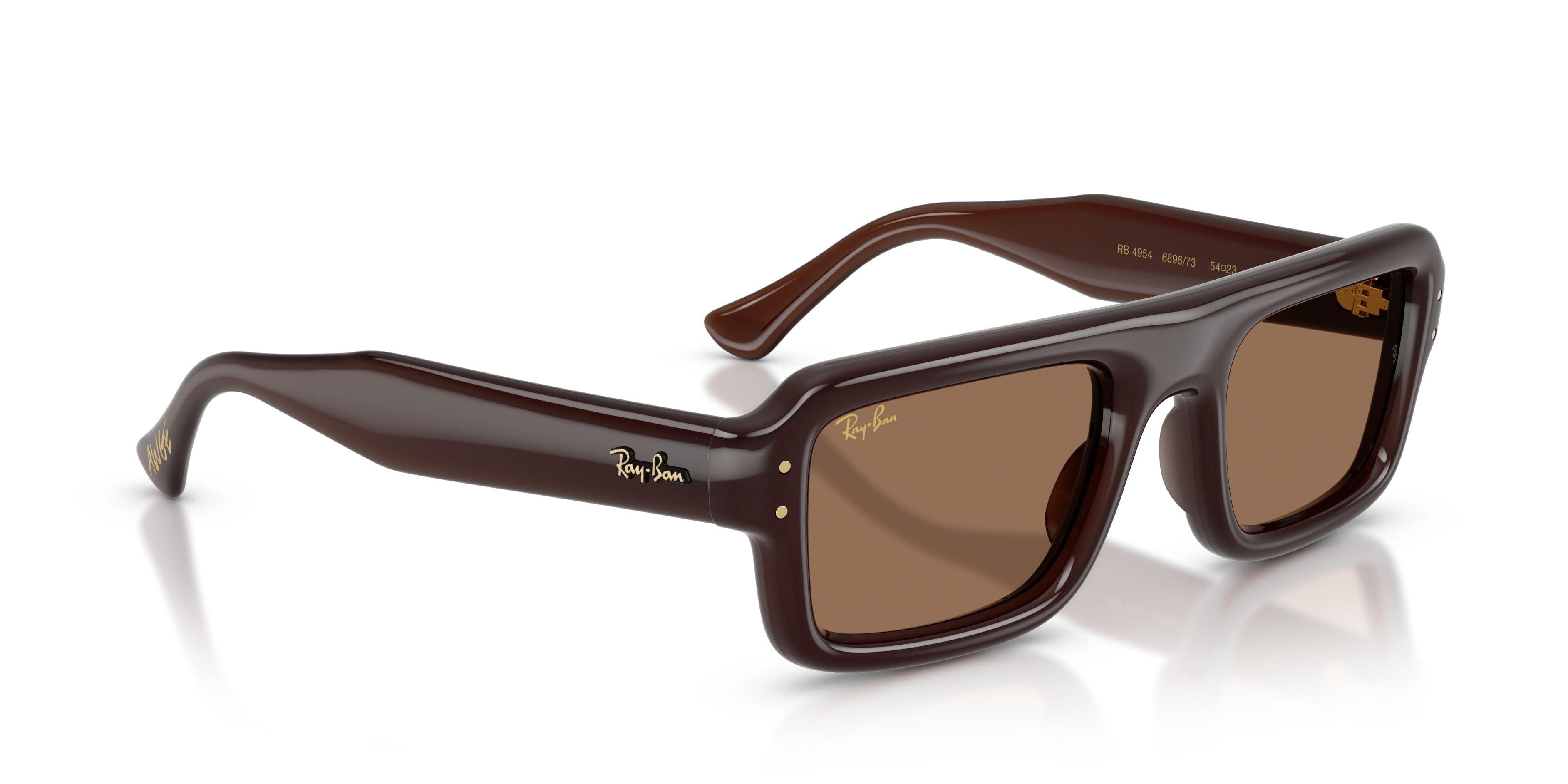 Ray - Ban 4954 Sunglasses