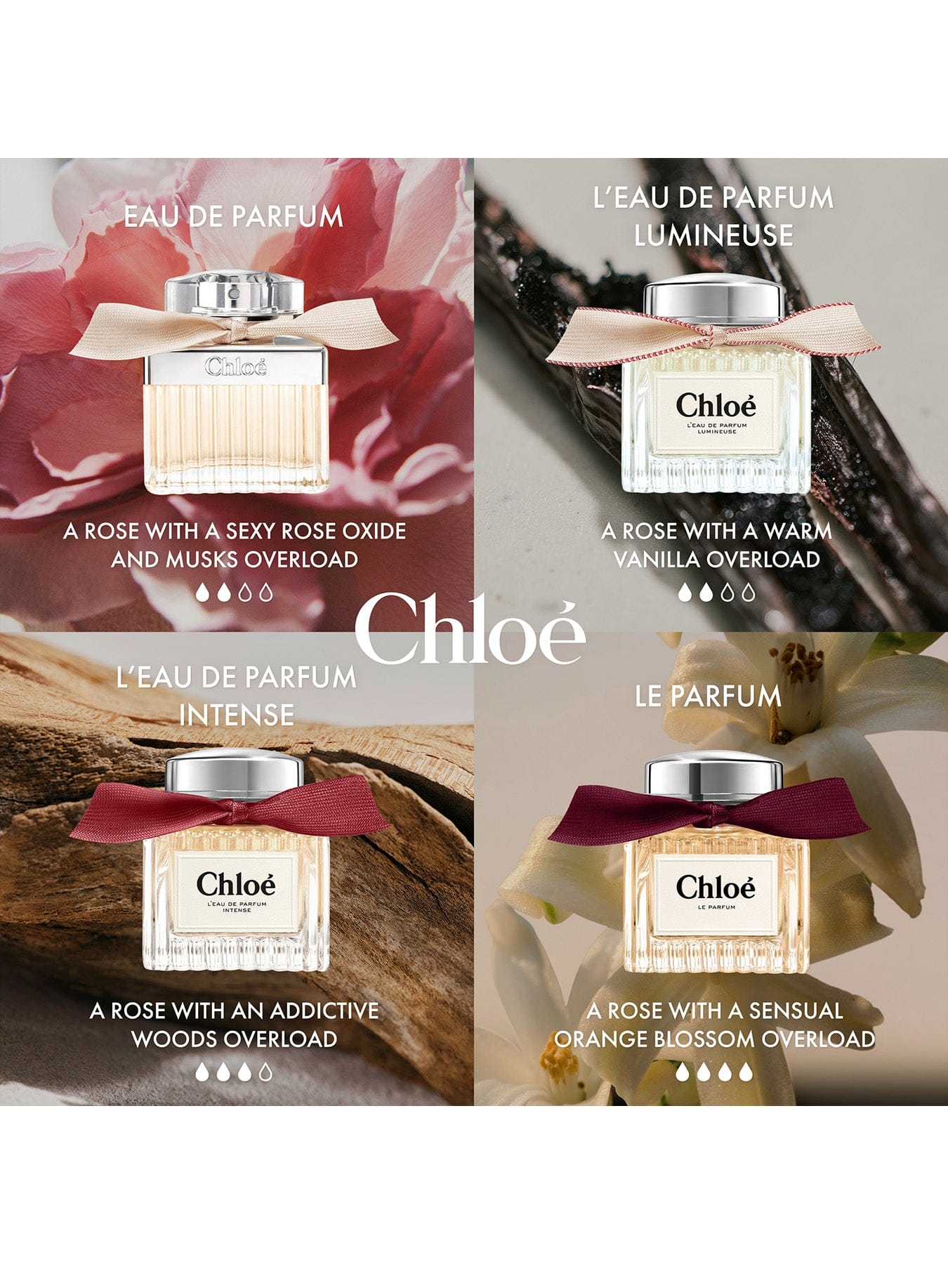 Chloé L’Eau de Parfum Intense 50 ml