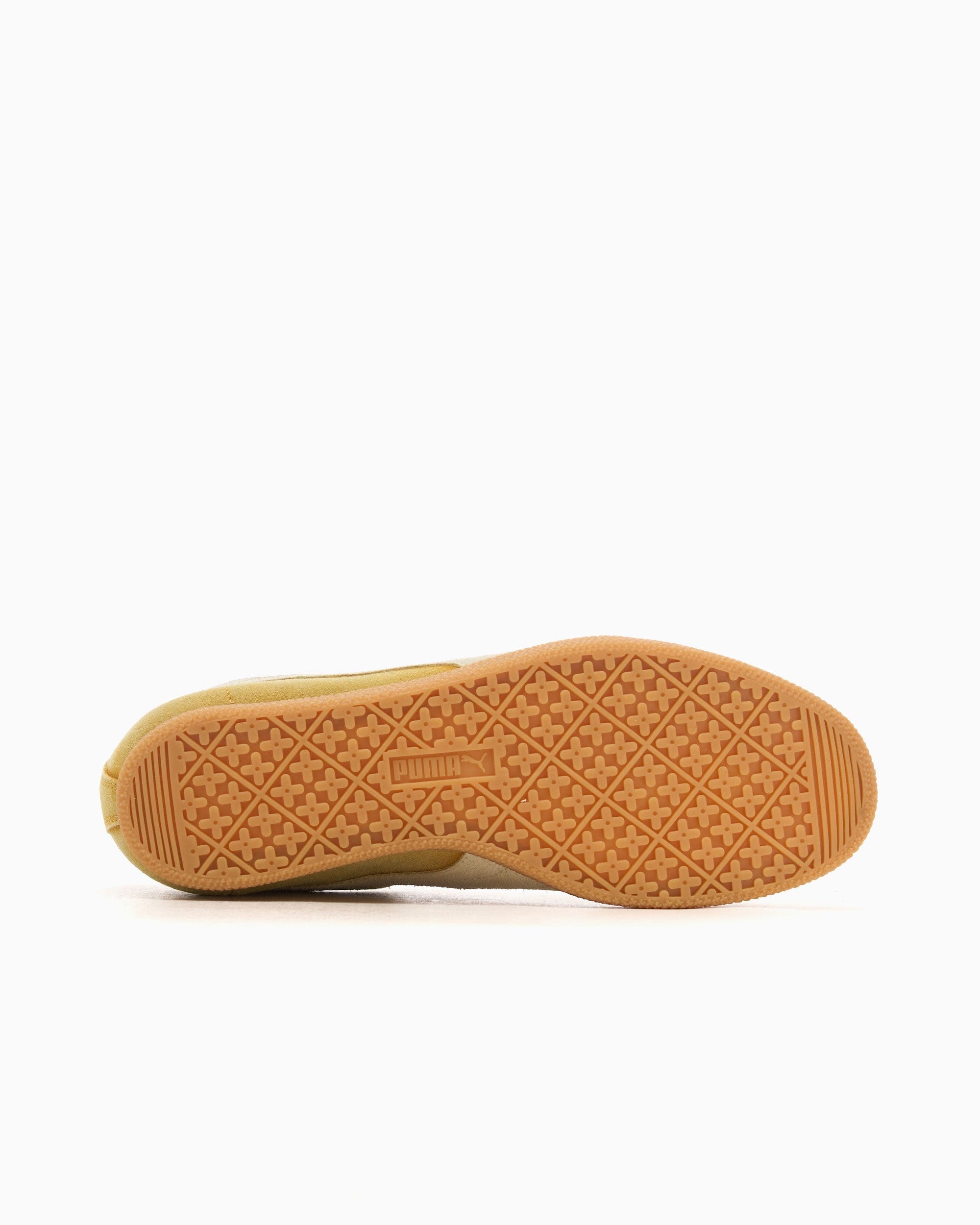 Puma Brasil The NeverWorn V