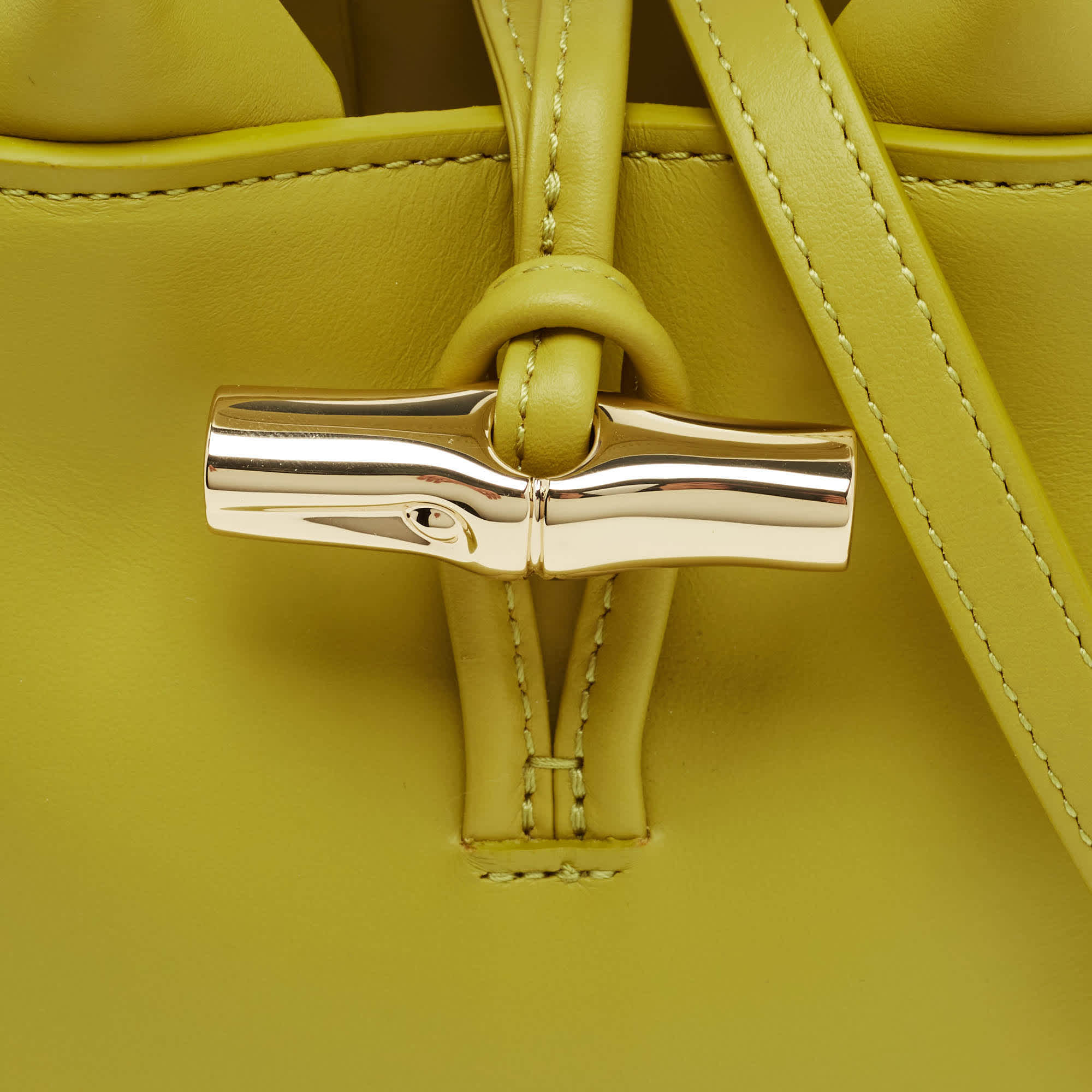 Longchamp Le Roseau Green Leather Totes Bag