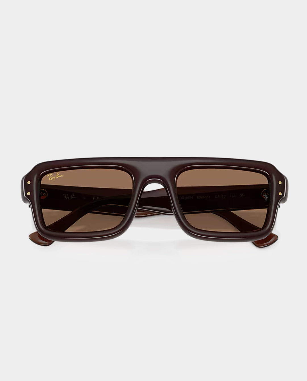 Ray - Ban - Flacko Puffer Sunglasses - Transparent Dark Brown with Dark Brown Lens