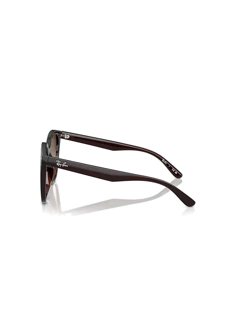 Ray - Ban 0RB4423D Brown Lens Sunglasses — Brown