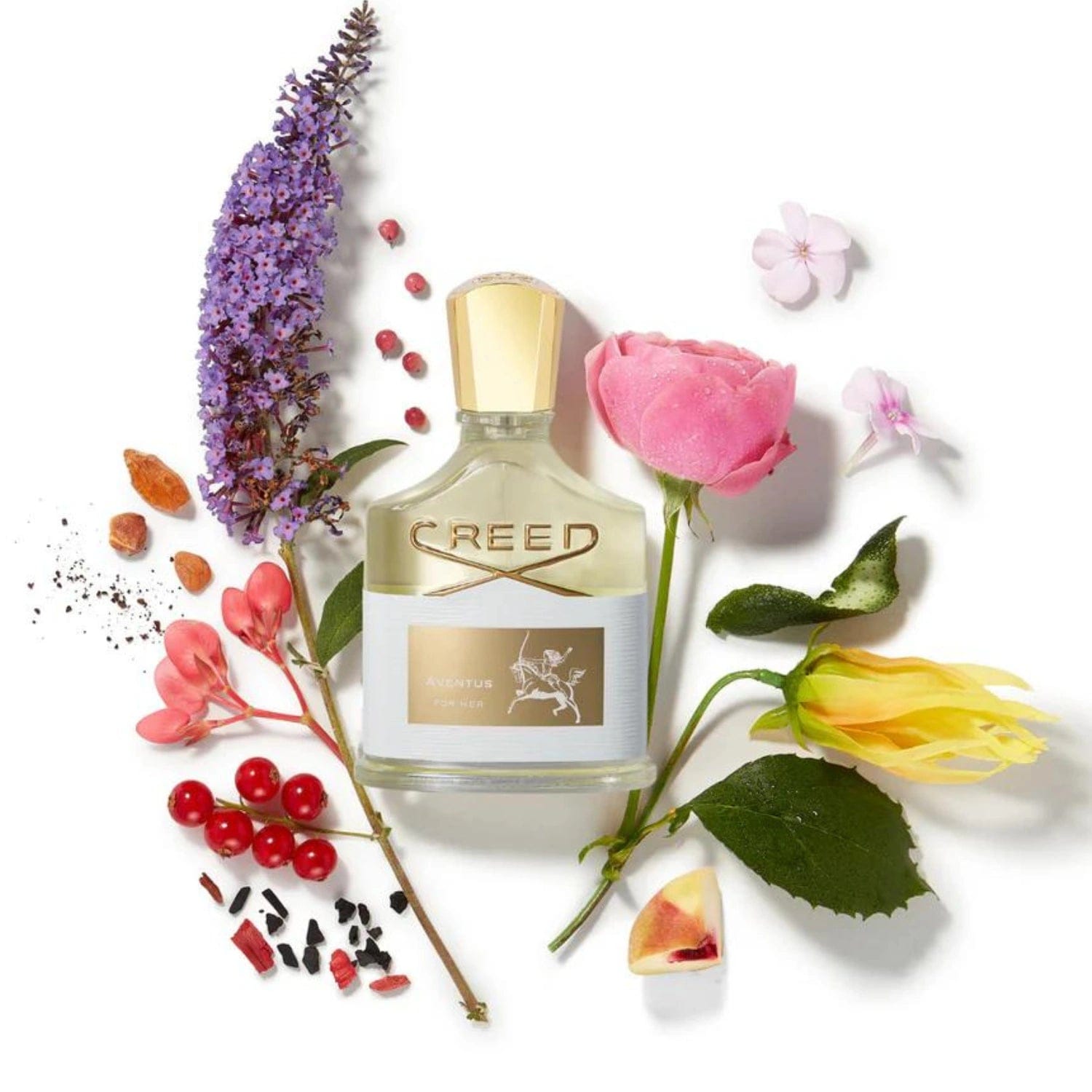 Creed Aventus for Her